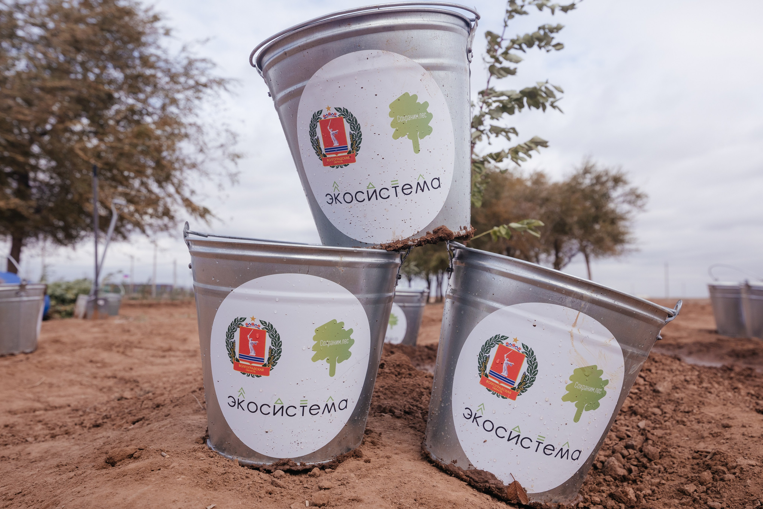 Сохраним лес. Фотограф Крохин Олег