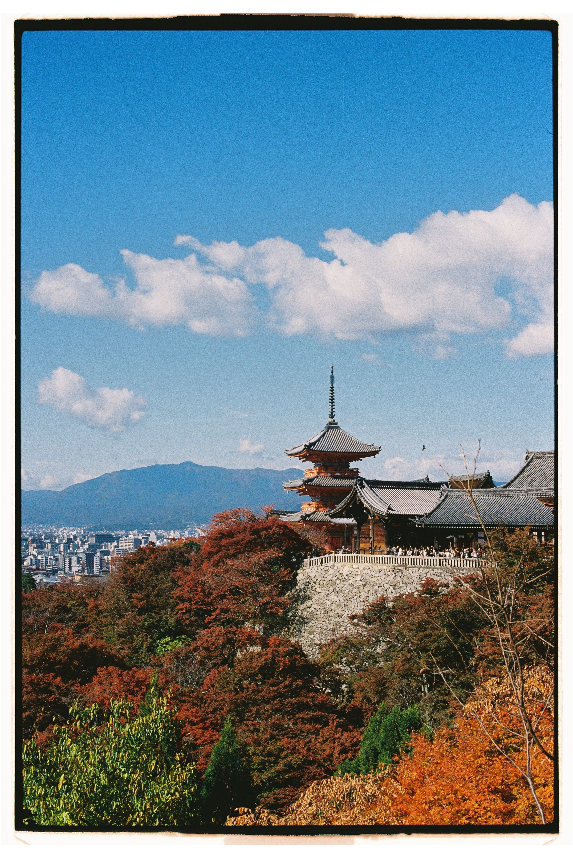 Asia. Olya Filina | Moscow Photographer