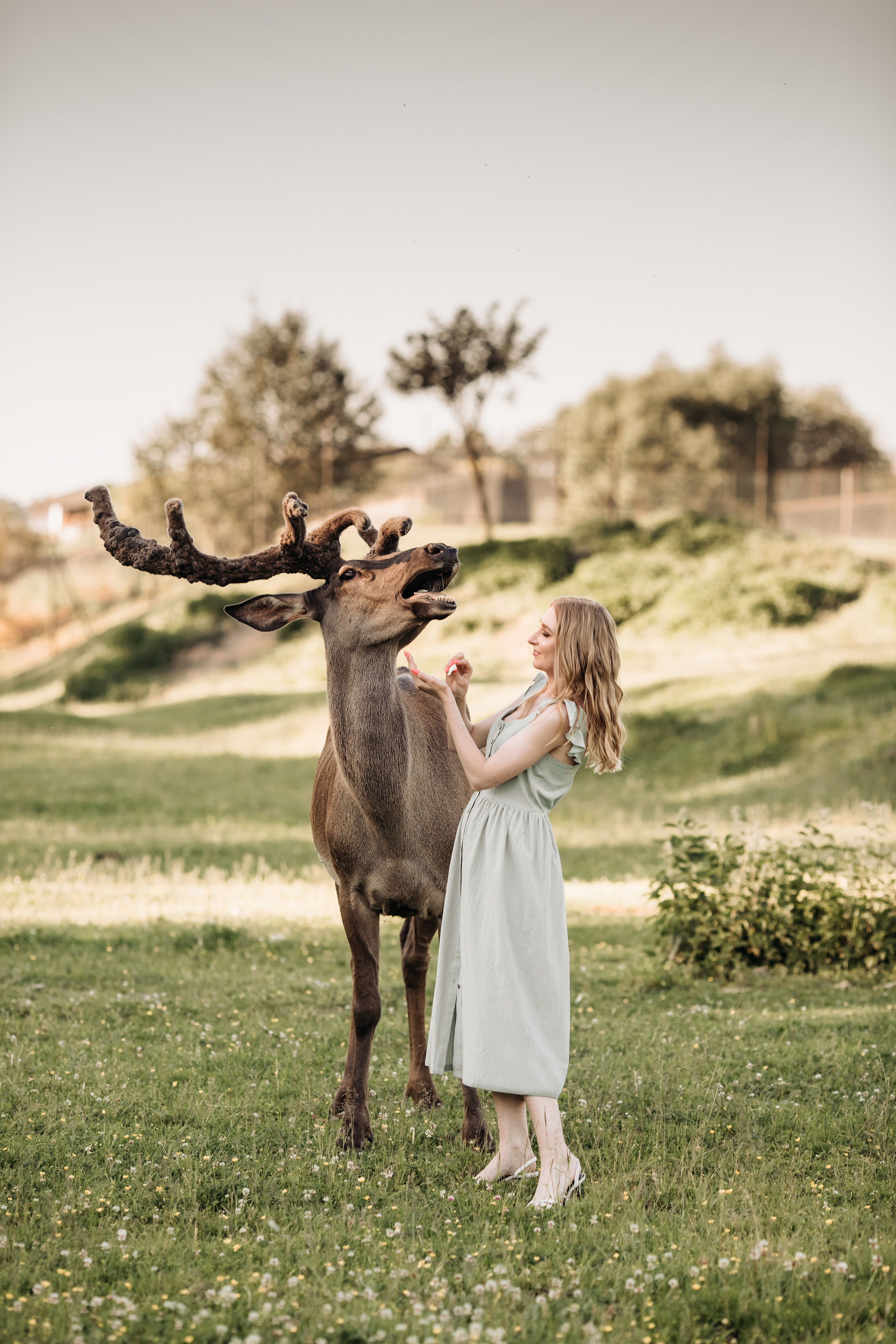 Аванпост. Прогулка с Оксаной. Анна Блохина Фотограф Звенигород Одинцово Истра Красногорск Москва
