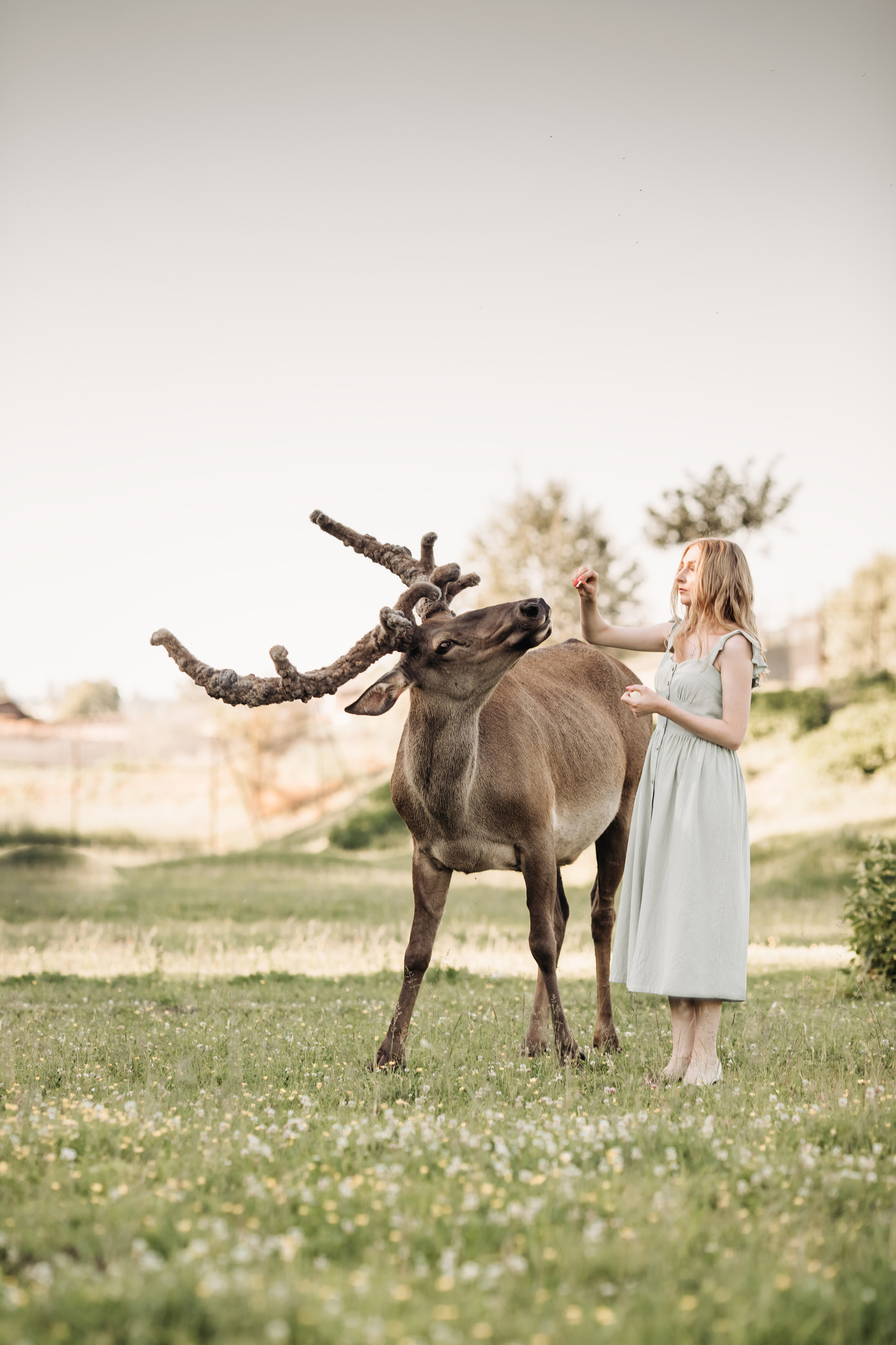 Аванпост. Прогулка с Оксаной. Анна Блохина Фотограф Звенигород Одинцово Истра Красногорск Москва