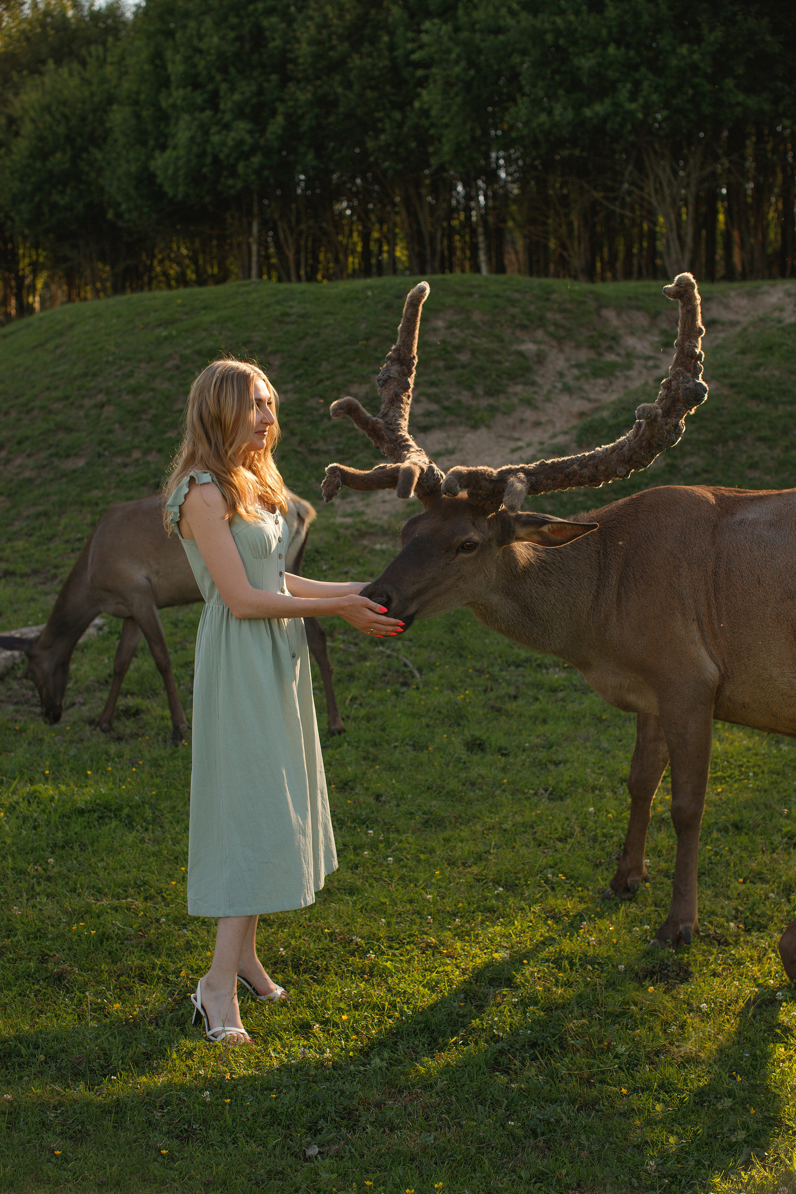 Аванпост. Прогулка с Оксаной. Анна Блохина Фотограф Звенигород Одинцово Истра Красногорск Москва