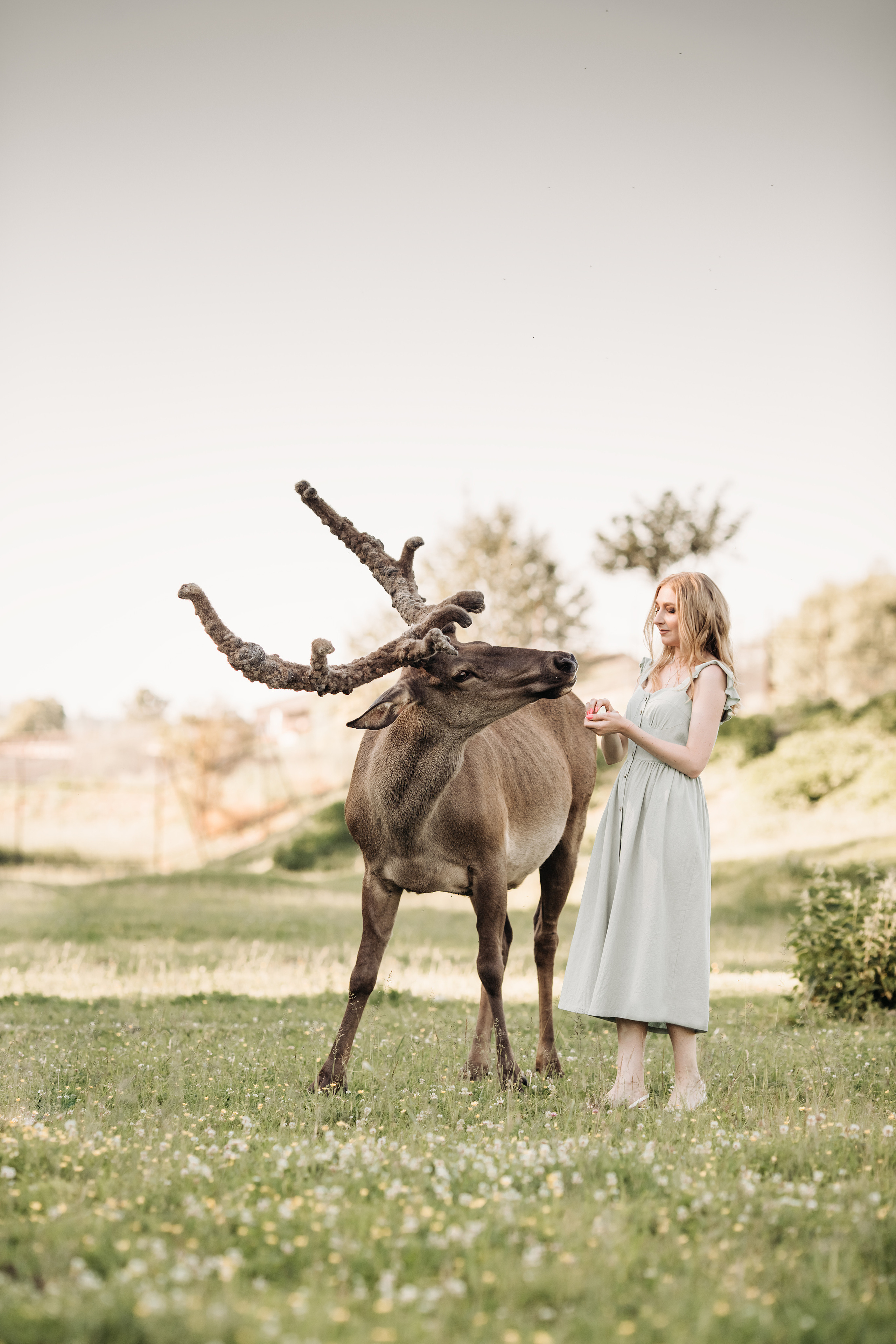 Аванпост. Прогулка с Оксаной. Анна Блохина Фотограф Звенигород Одинцово Истра Красногорск Москва