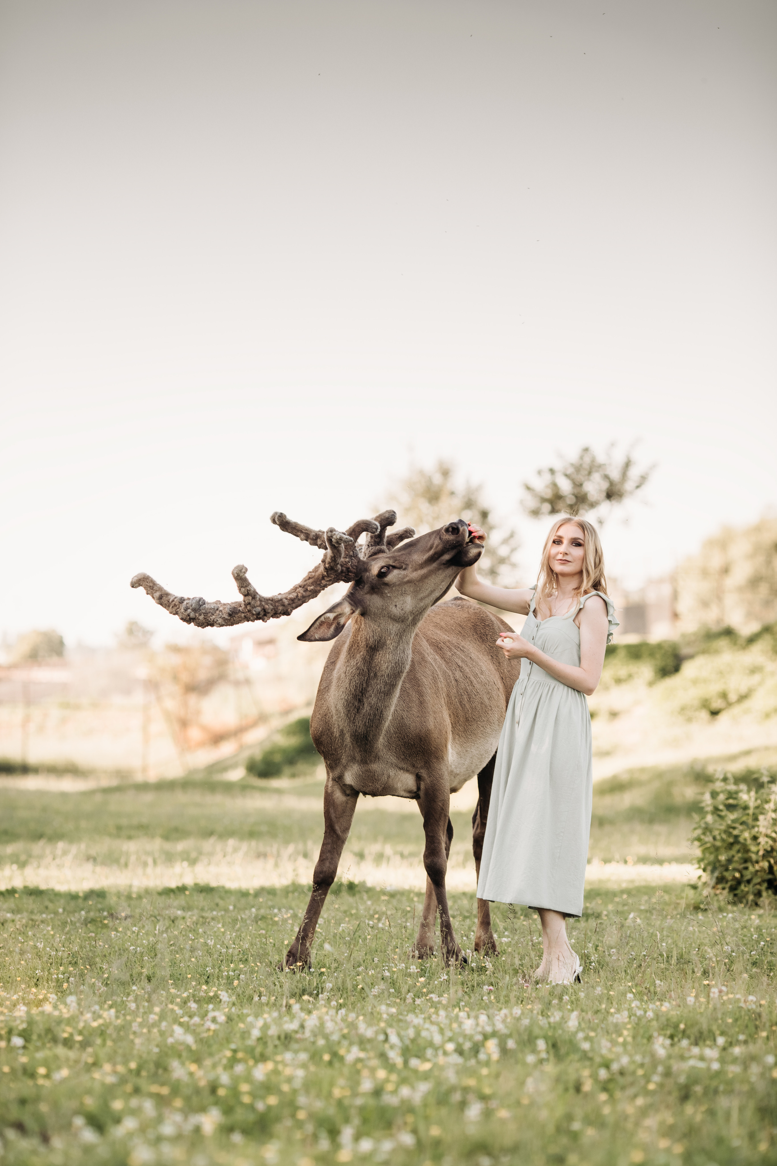 Аванпост. Прогулка с Оксаной. Анна Блохина Фотограф Звенигород Одинцово Истра Красногорск Москва