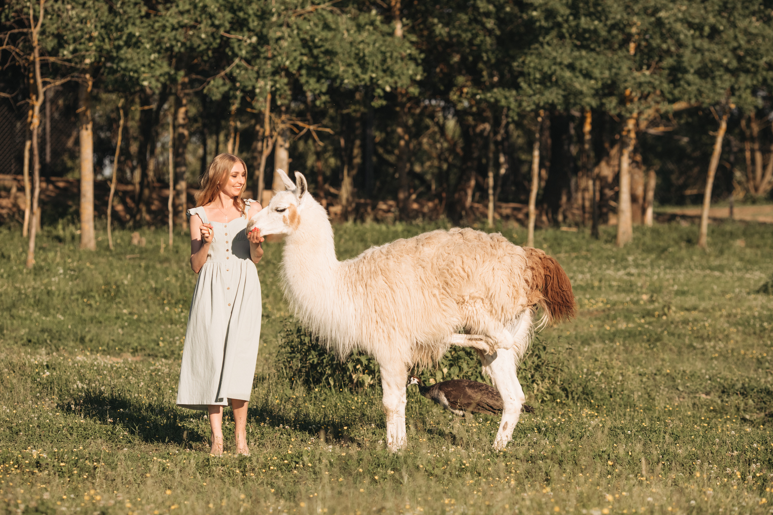 Аванпост. Прогулка с Оксаной. Анна Блохина Фотограф Звенигород Одинцово Истра Красногорск Москва