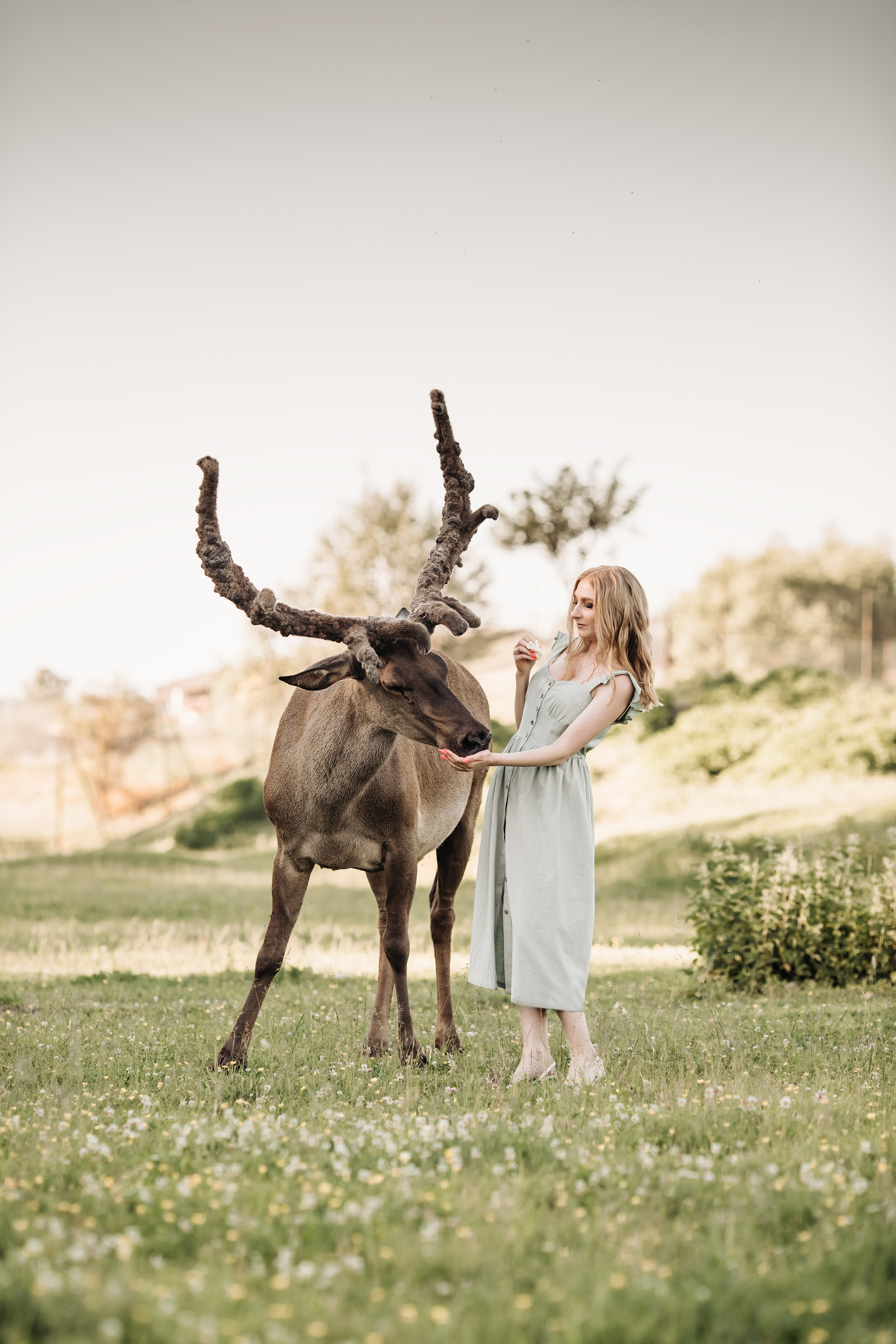 Аванпост. Прогулка с Оксаной. Анна Блохина Фотограф Звенигород Одинцово Истра Красногорск Москва