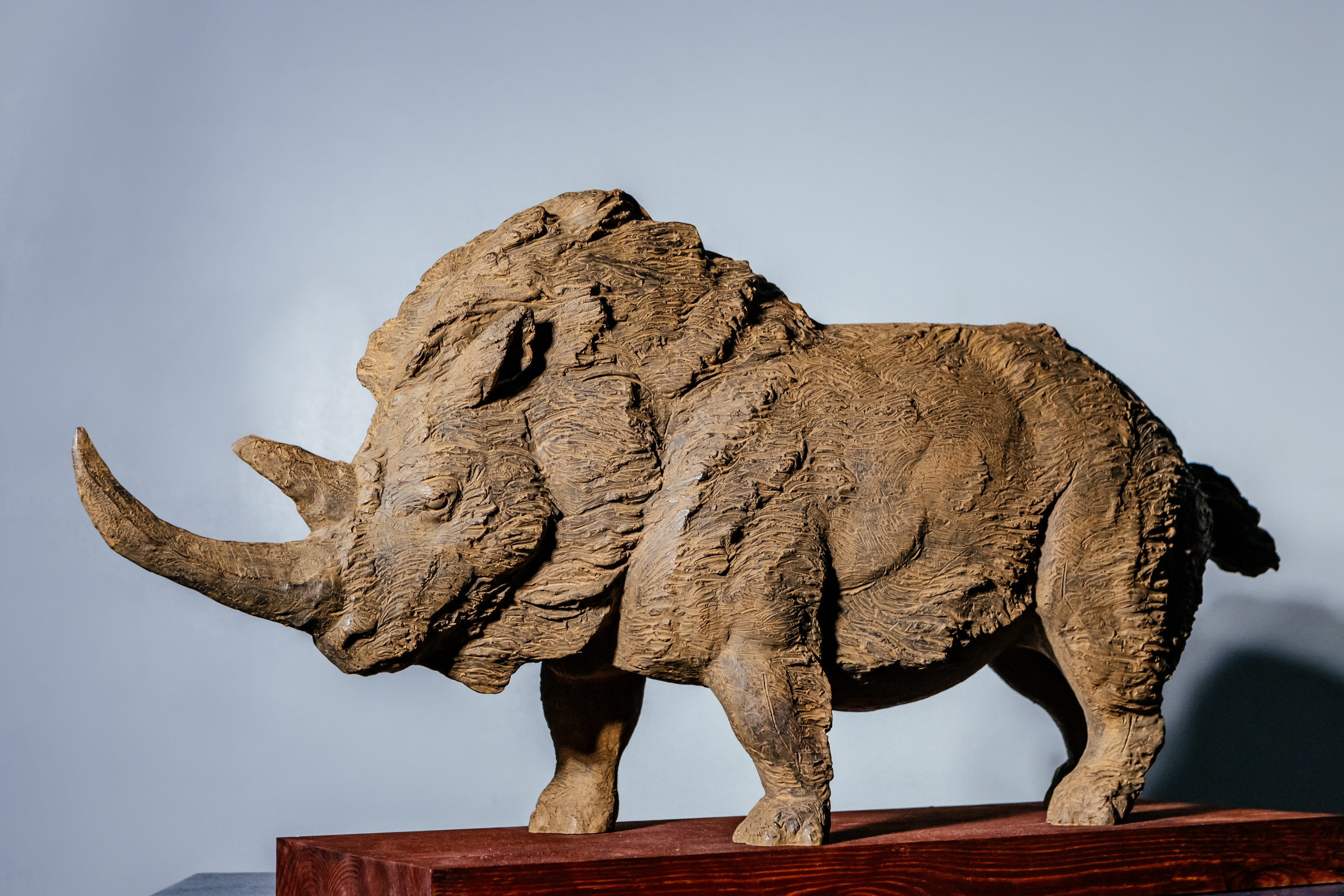 Скульптуры. Михаил Серёдкин. Фотограф в Красноярске Оксана Корчагина