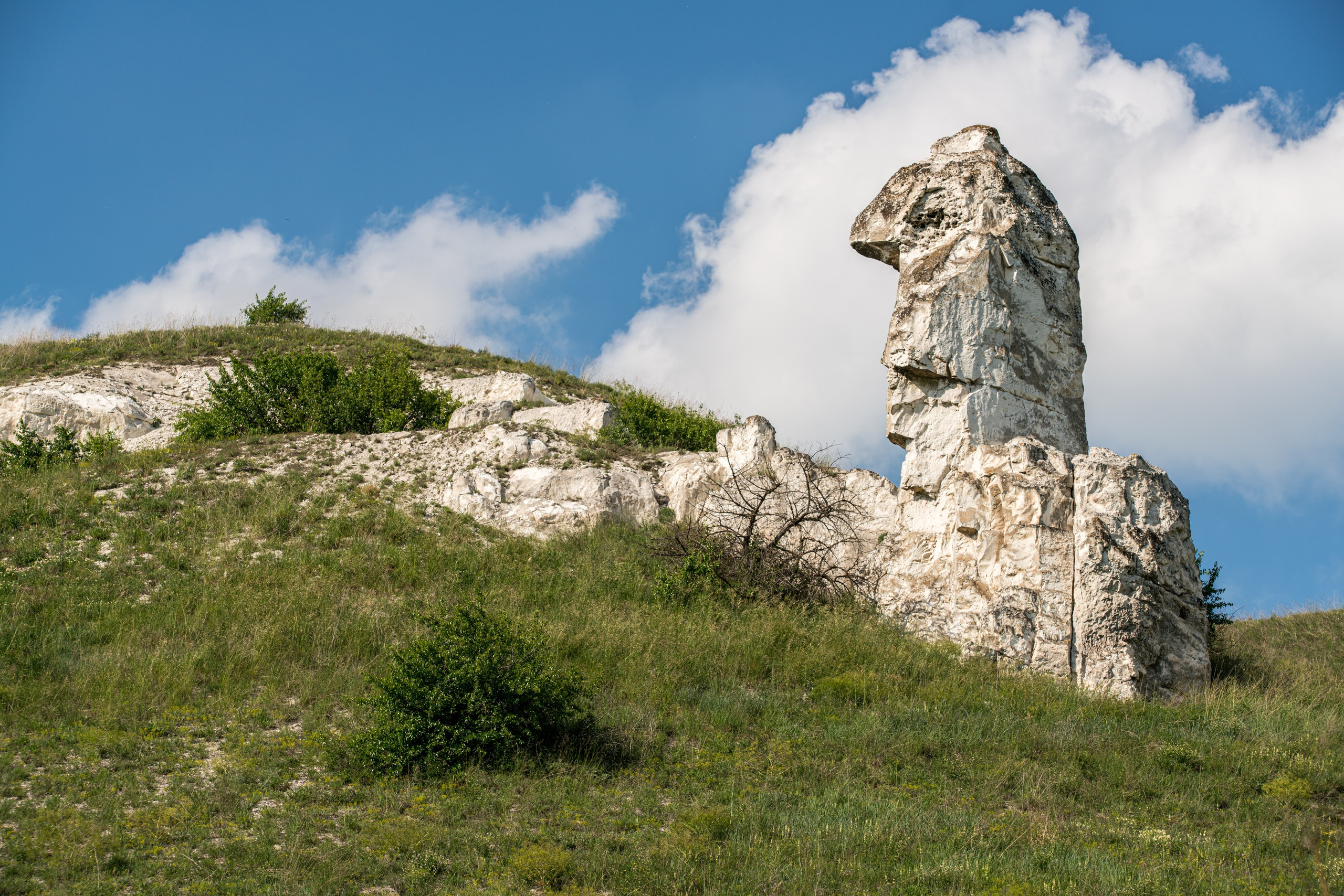 Белогорье, Воронежская область 2017. Фотограф Василий Буланов