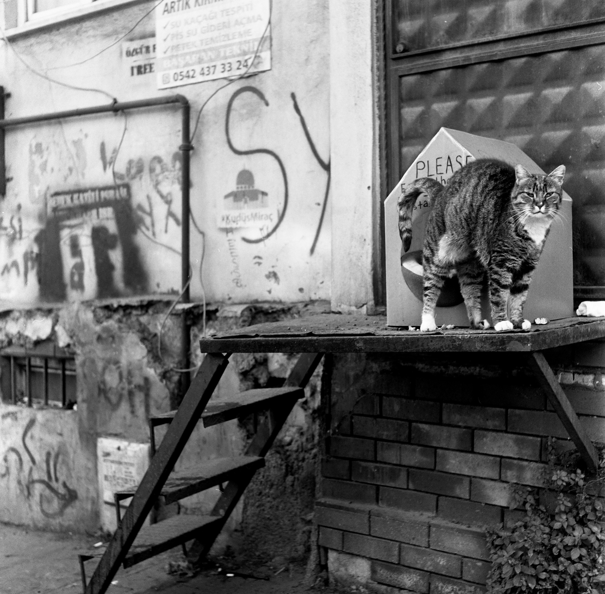 Turkey, Istanbul. Elena Nikitina. Photo Artist. Film photography. Prints