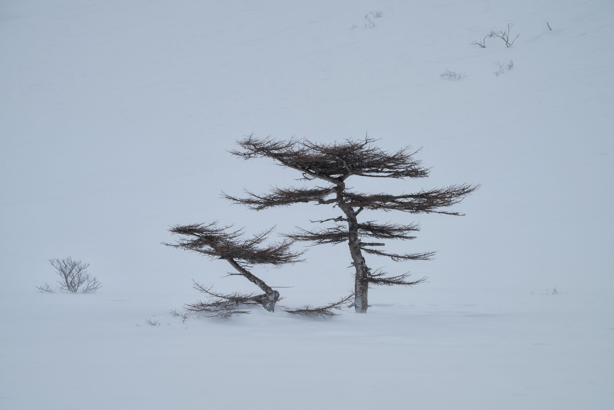 Фотогалерея Зимние Курилы