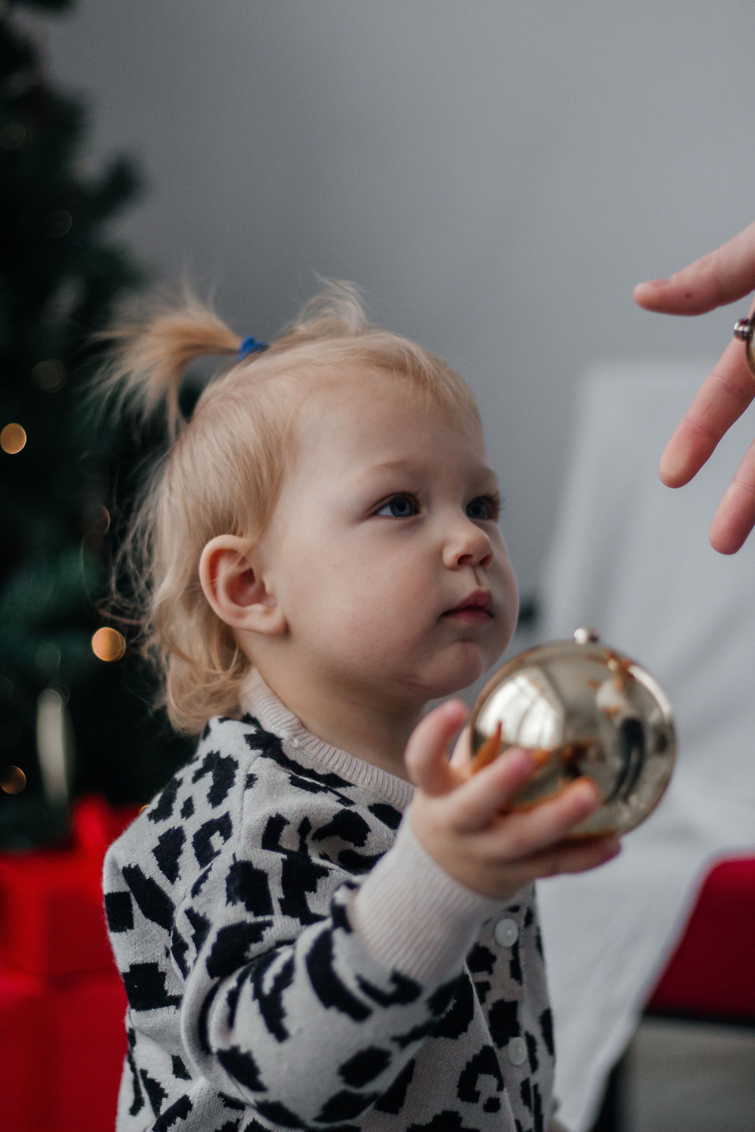 Семейные съемки. Семейные фотосессии в Вологде