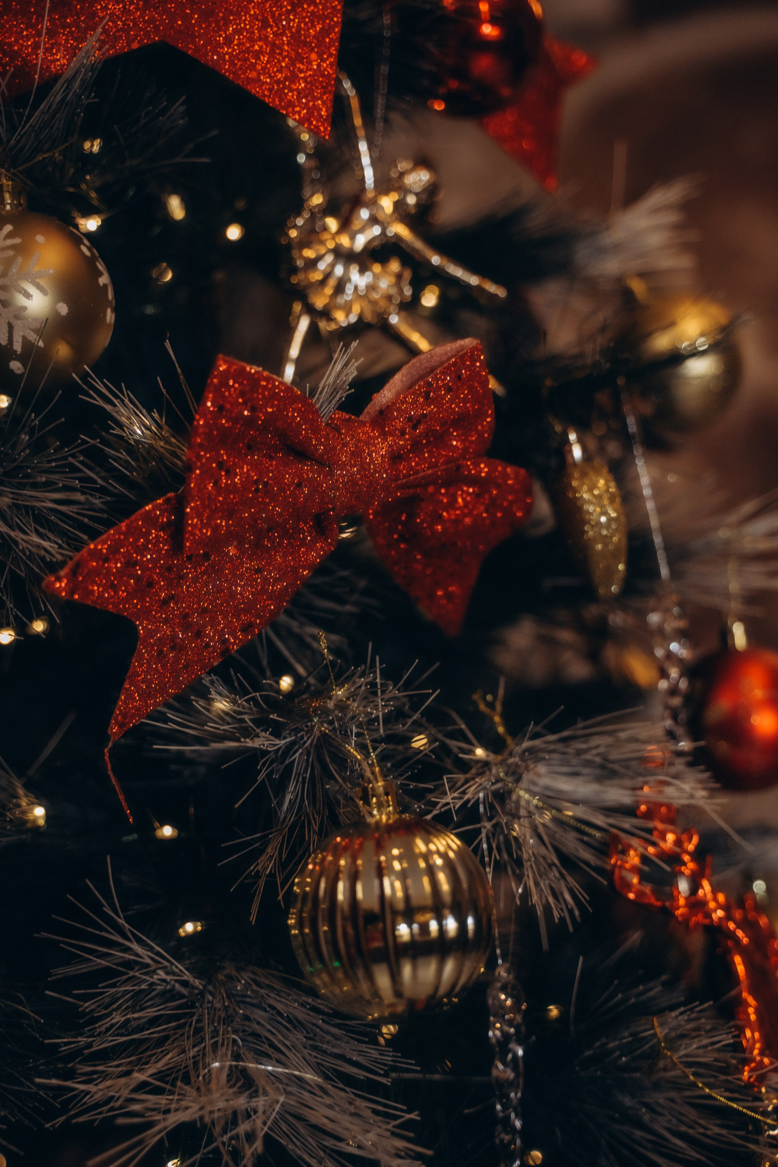 Семья Киприяновы, Новый год дома. Семейный фотограф в Белгороде Амелина Алина