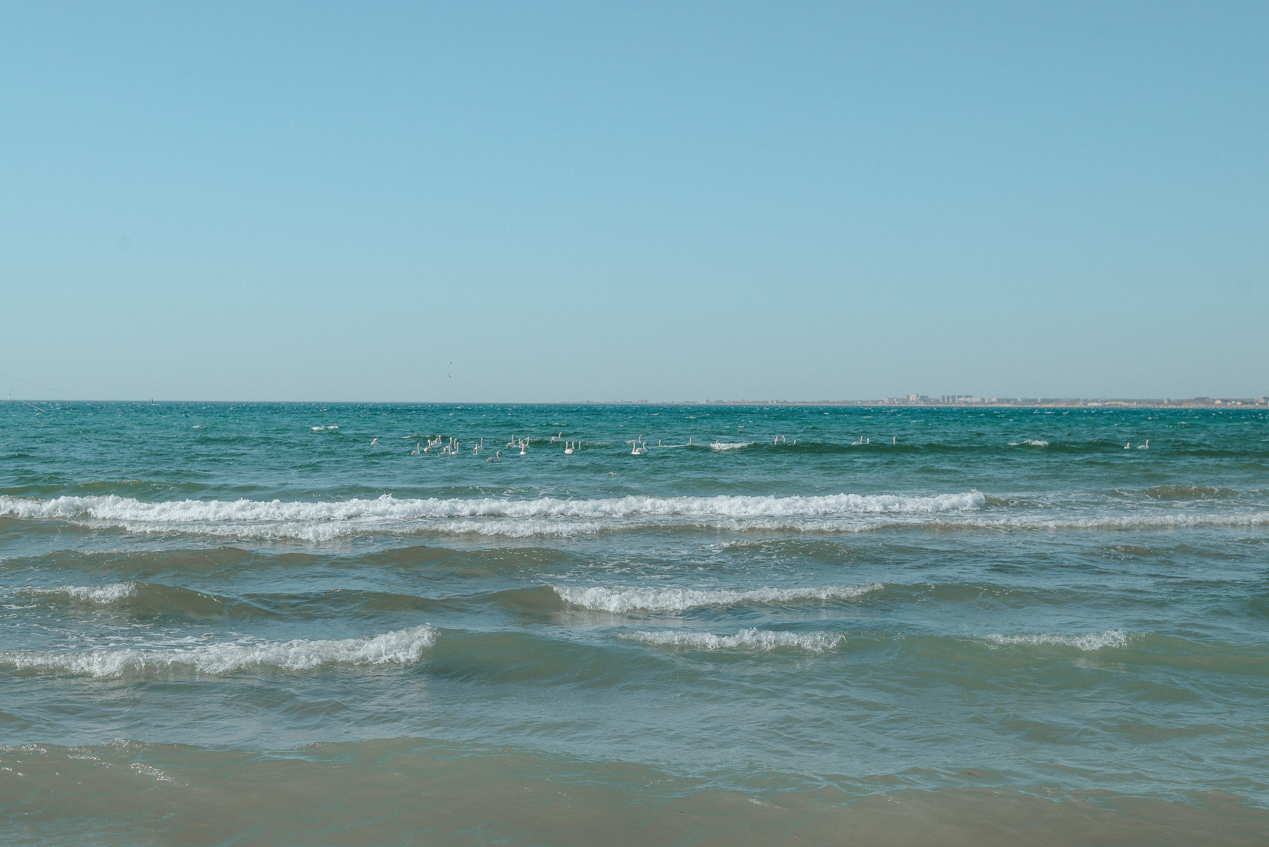 Прогулки на море. Фотографы Ивановы Краснодарский край
