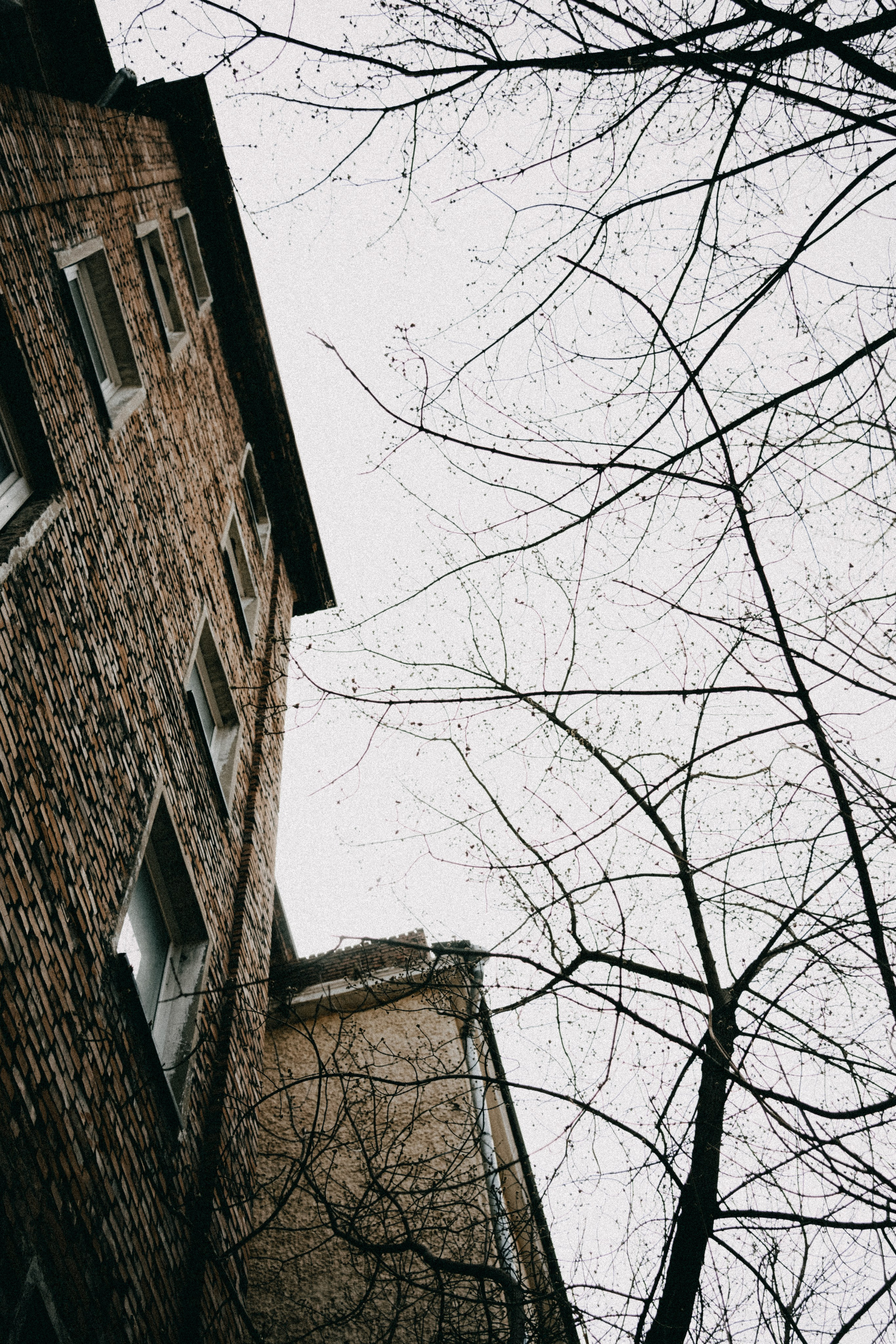 Аня и Дима. Фотограф Контузорова Ольга