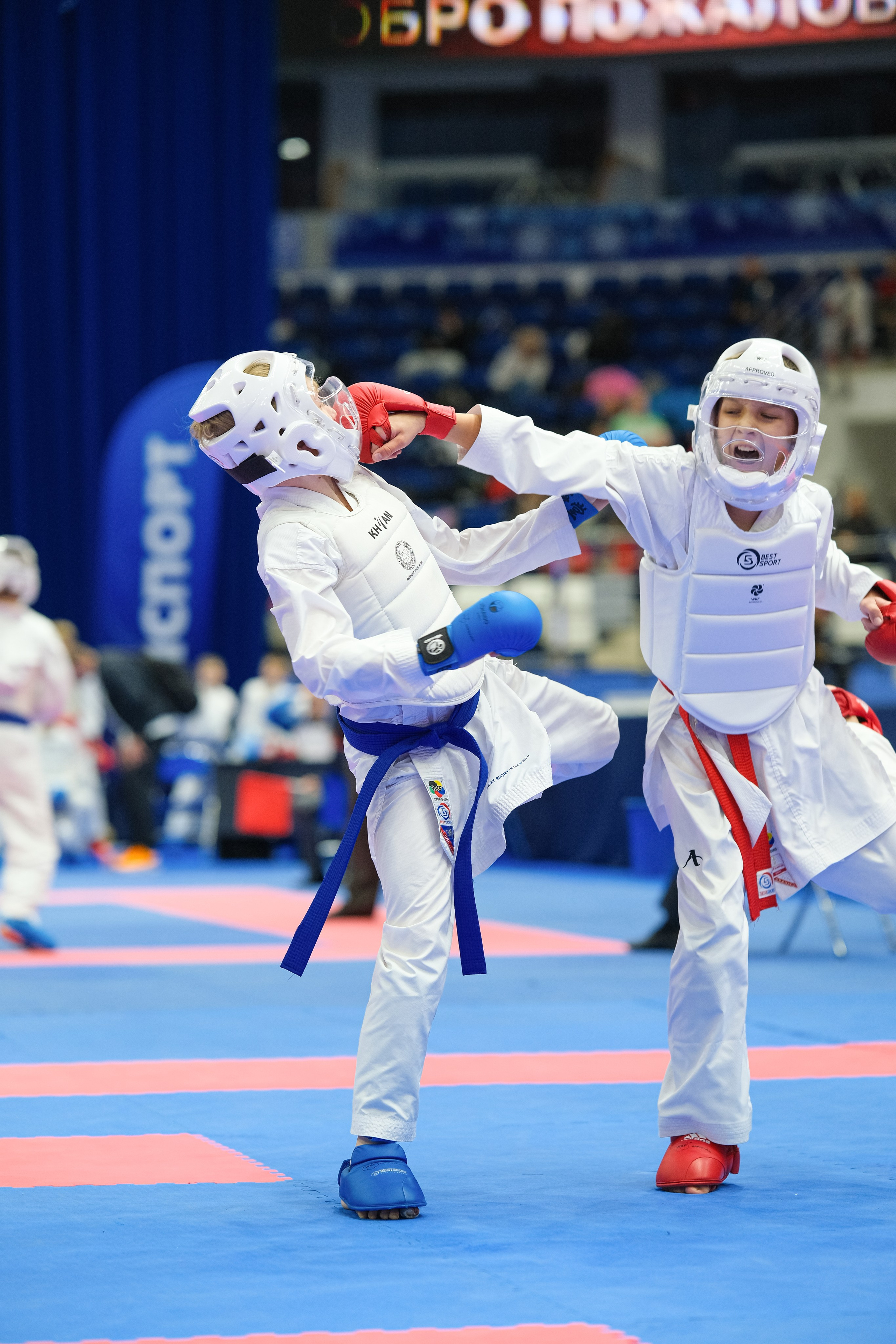 Международный турнир по карате «Belarus Open». Https://www.instagram.com/paparrazzio