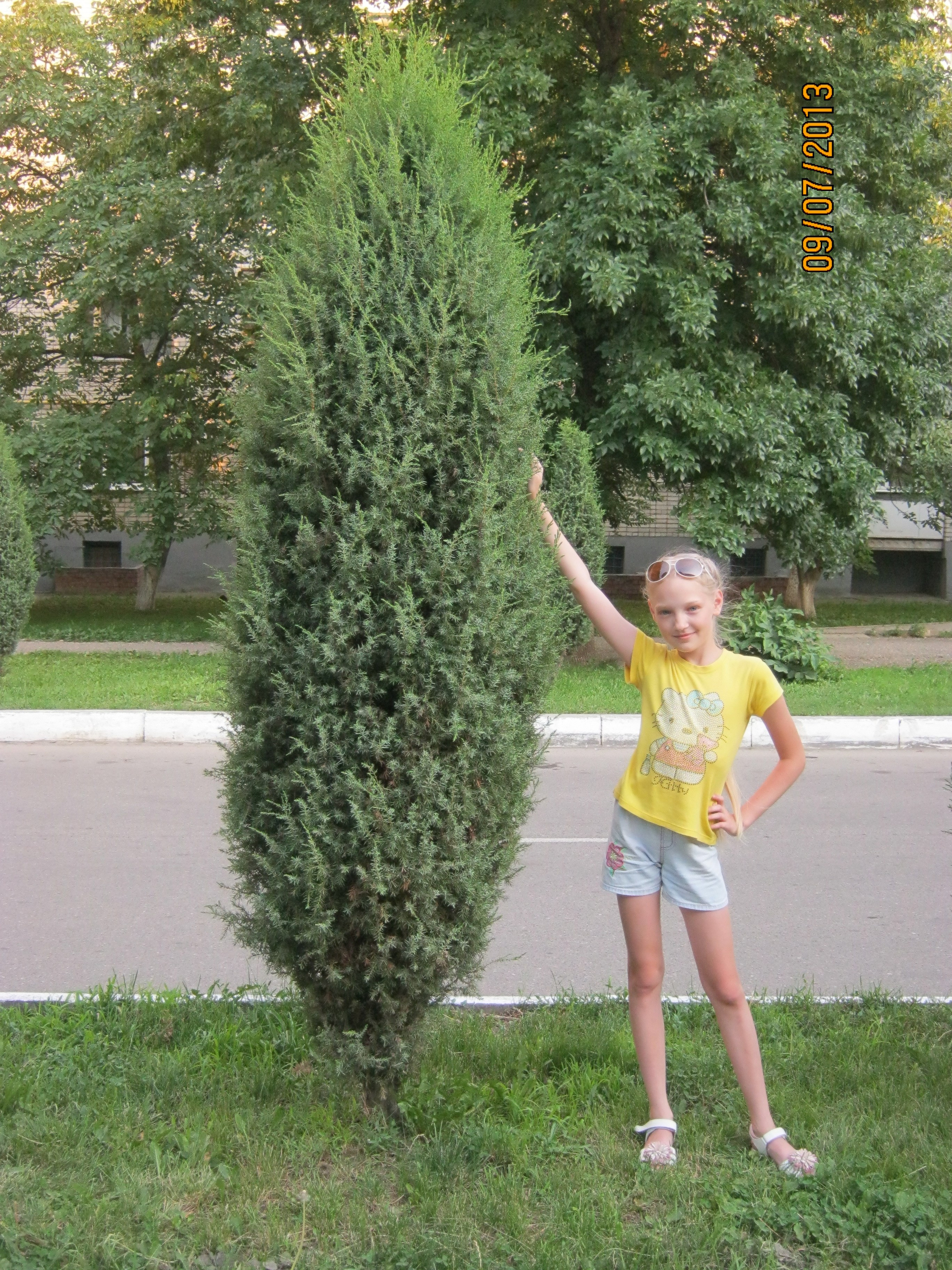 Белореченск с Олей 29.06-22-07.2013. Семейный, Свадебный фотограф СПБ Питер— Романова Екатерина