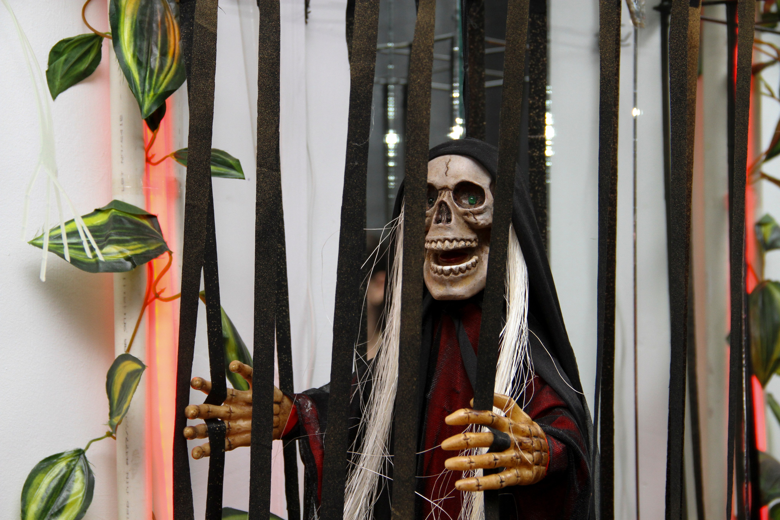 Катя ДР 13 лет 01.12.2012. Семейный, Свадебный фотограф СПБ Питер— Романова Екатерина