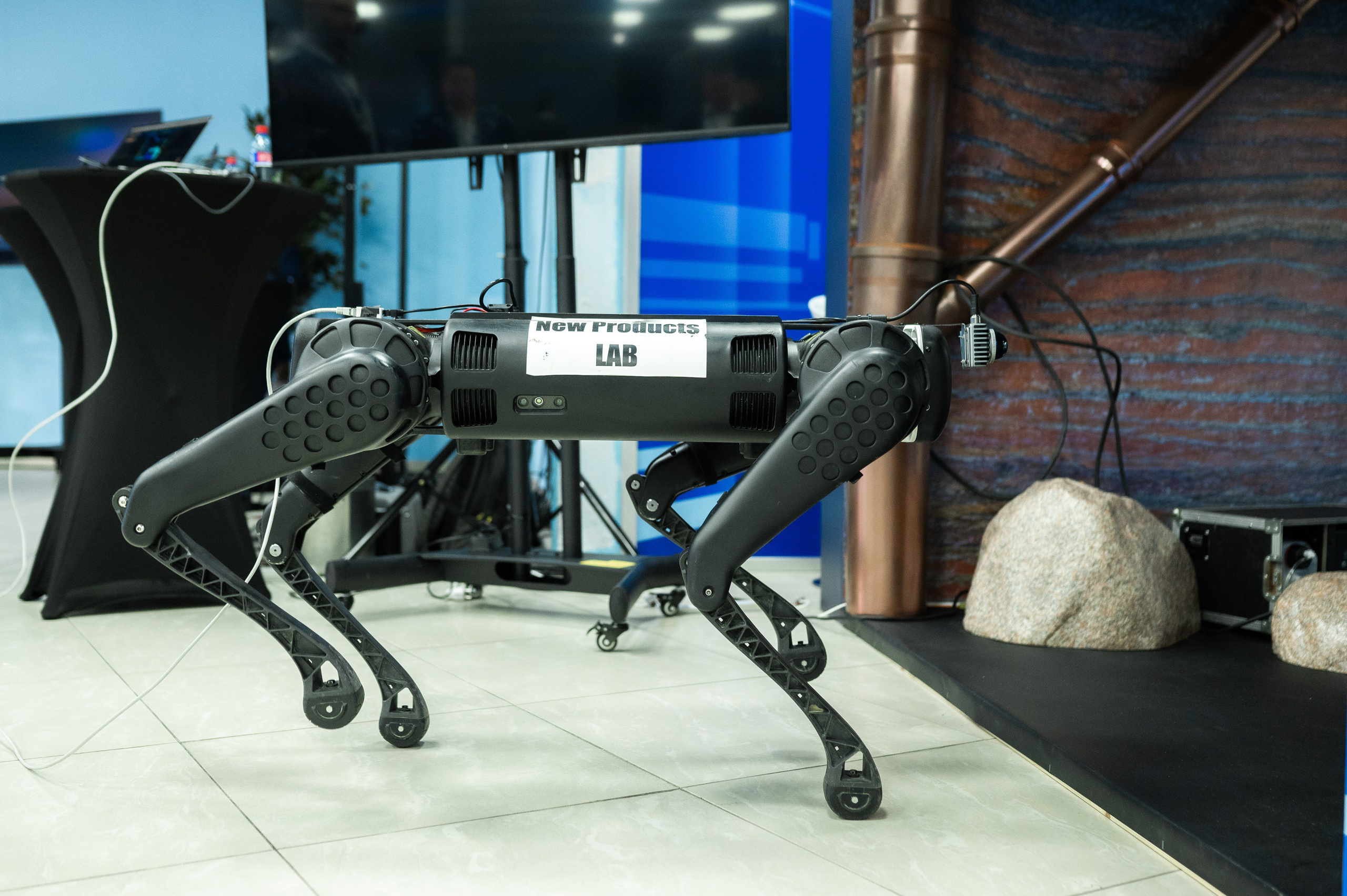 ЕвроХим ежегодный Форум развития. Фотограф Илья Бызов, Свадебный и репортажный фотограф Сочи