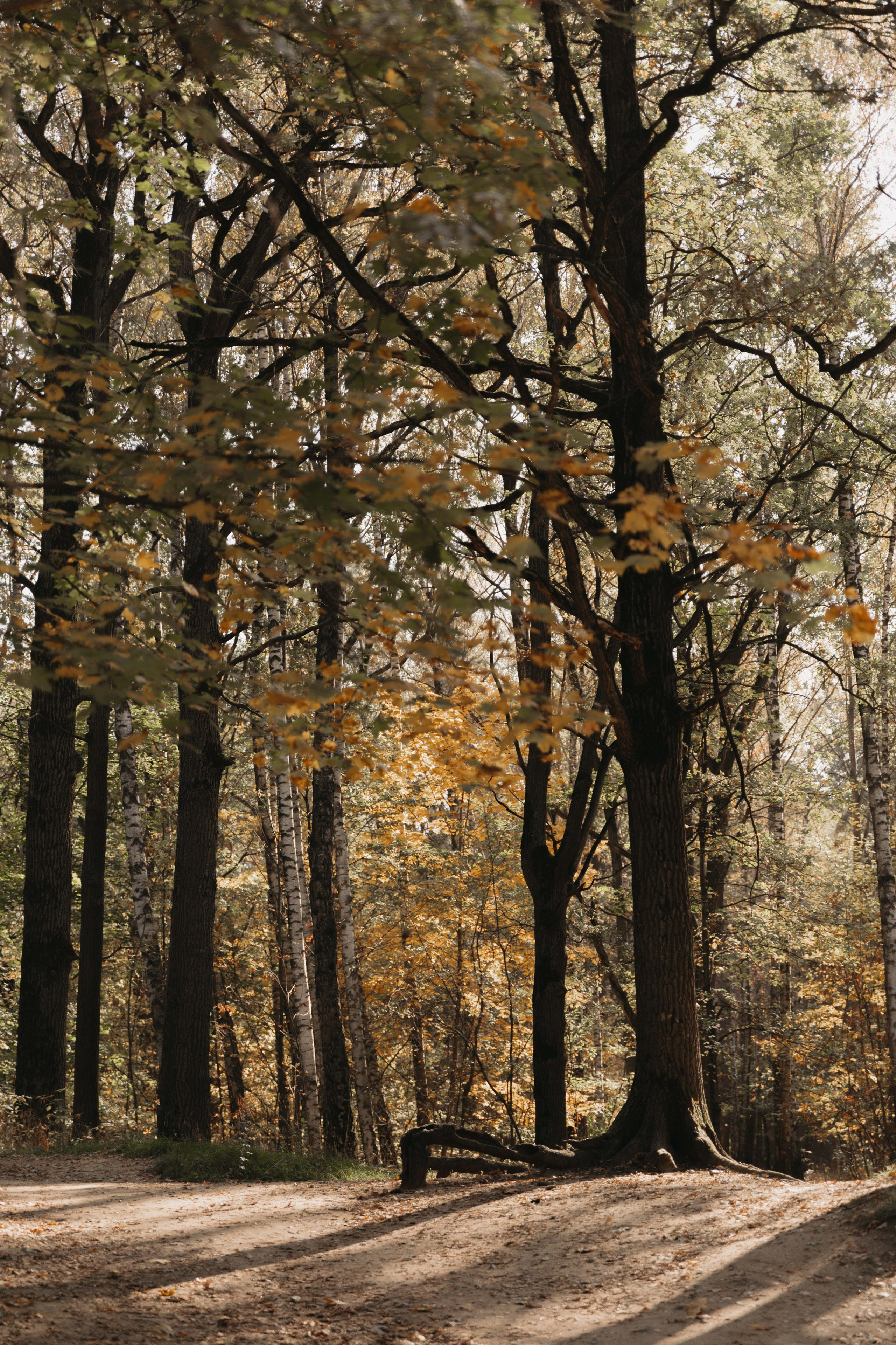 Ю & В. Женский и свадебный фотограф Москва Елизавета Перова