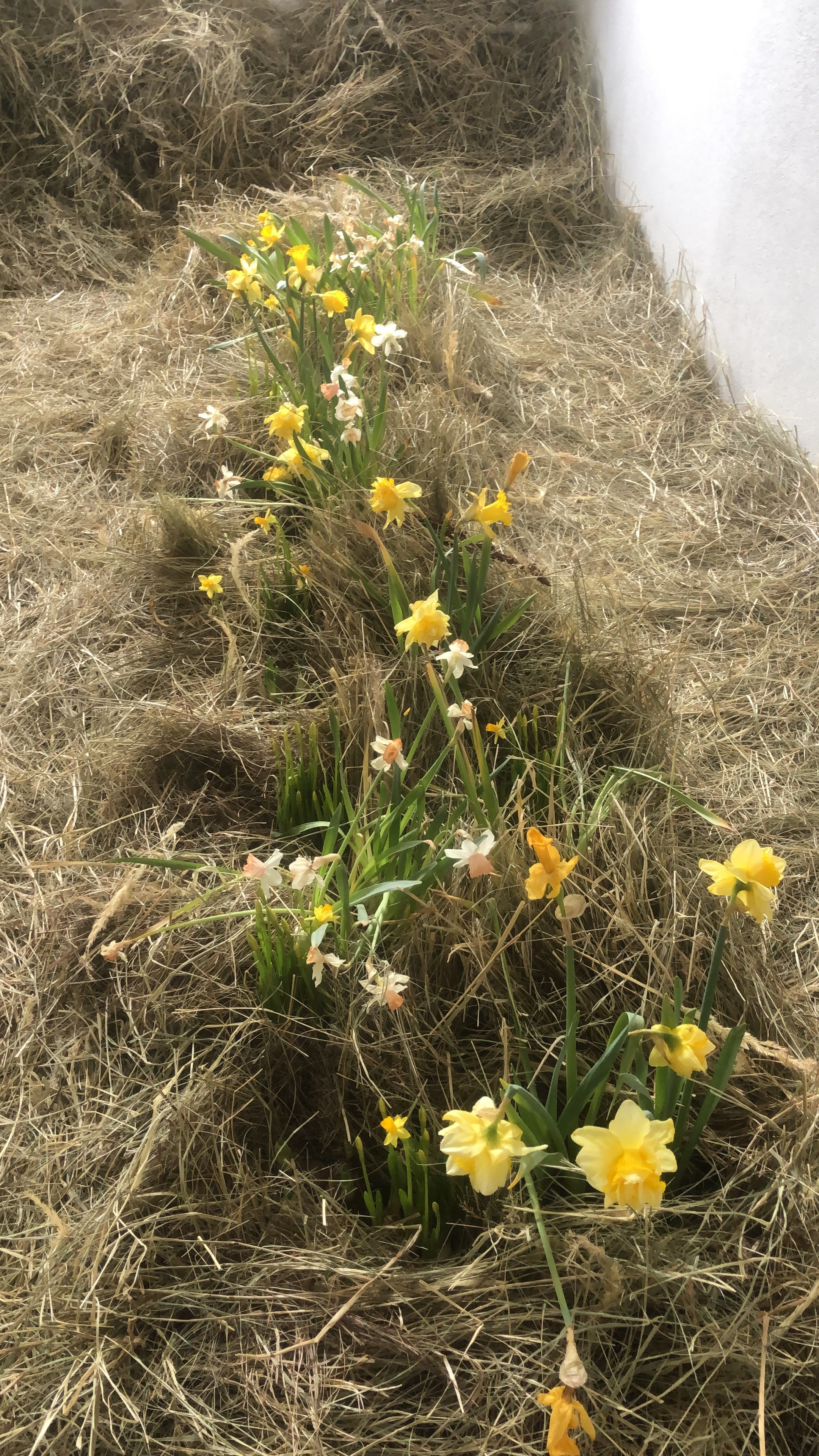Фотостудия МОХ зал Свет. Фотограф Настя Лев