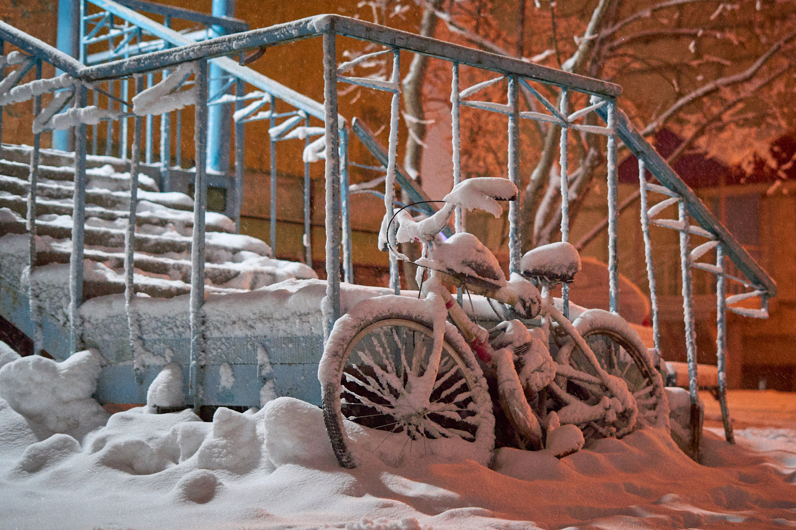 Зима. Фотограф Екатерина Зорина