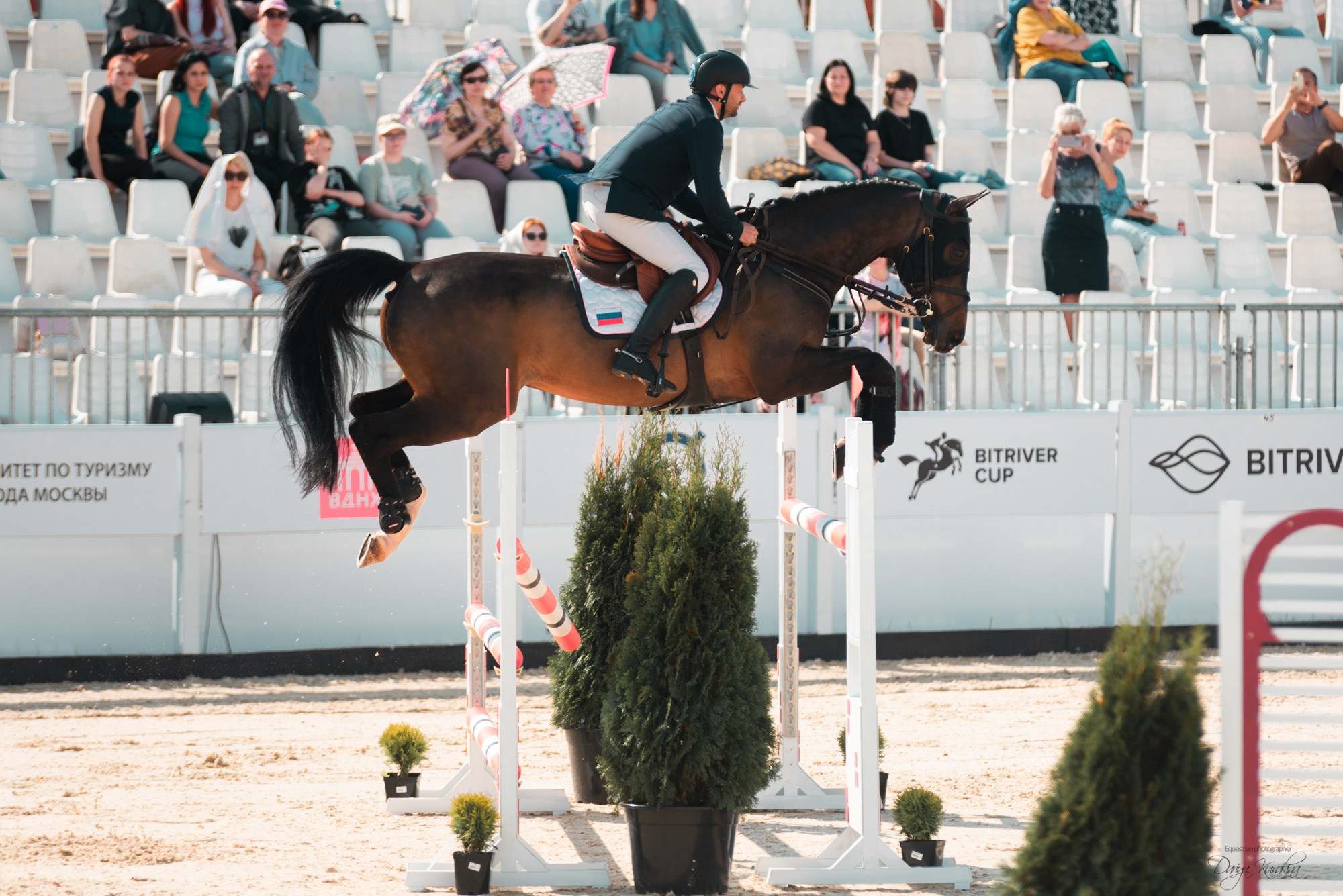 BITRIVER CUP 2023. Конный фотограф Куракина Дарья • Фотосессии с лошадьми