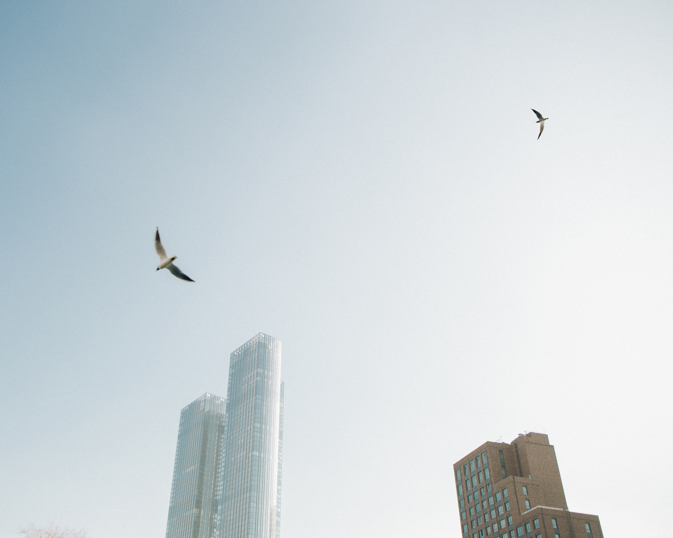 Анастасия. Портретный фотограф в Москве Анастасия