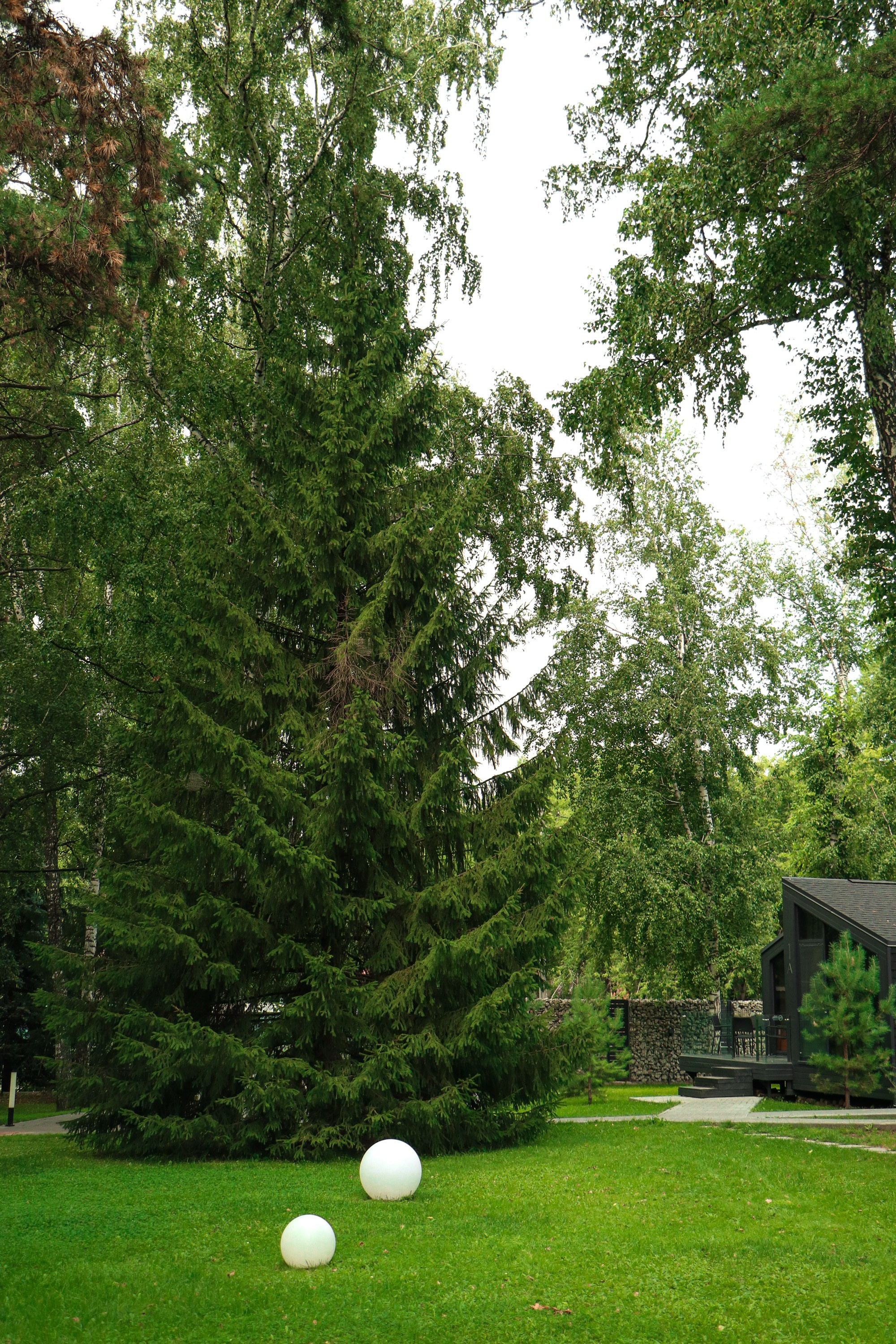 «Сосновый Бор» парк-отель г. Новосибирск. Контент фотограф Дмитрий Борисов