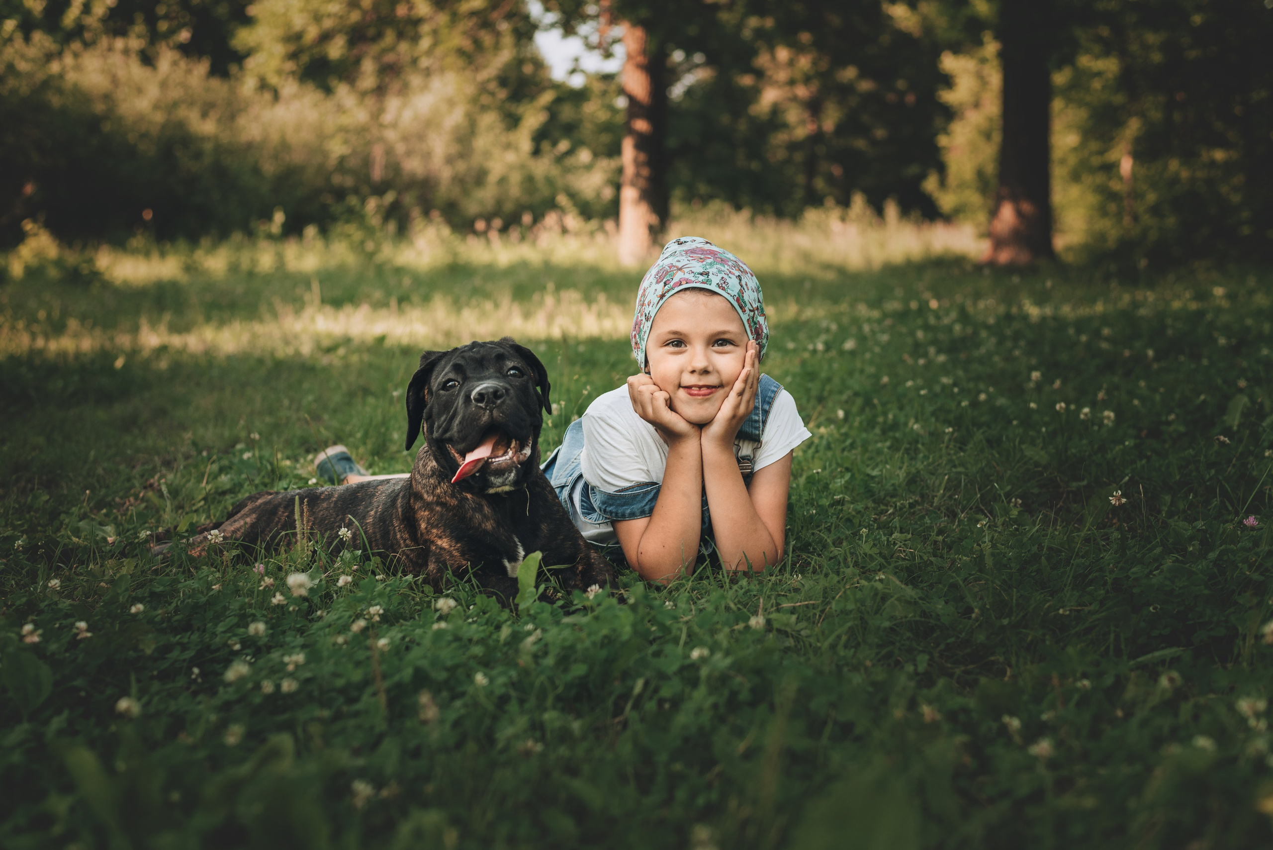 Cane Corso. Natalia Finch Photography — Family, Kids & Pet Photographer in Chicago, IL