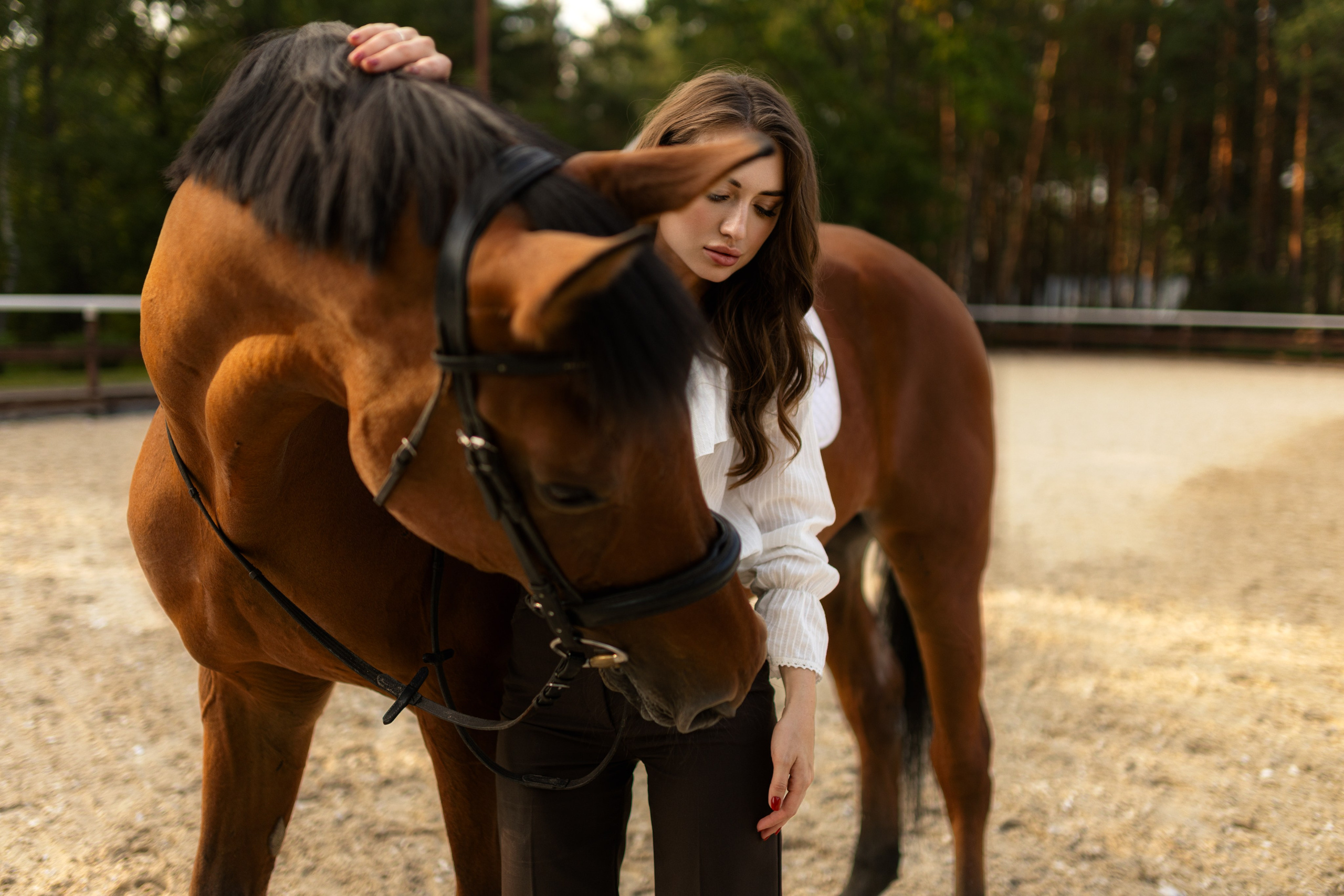 Фотосессия с лошадью для Анастасии в формате для «себя». Дмитрий Шульгин, портретный фотограф в Воронеже