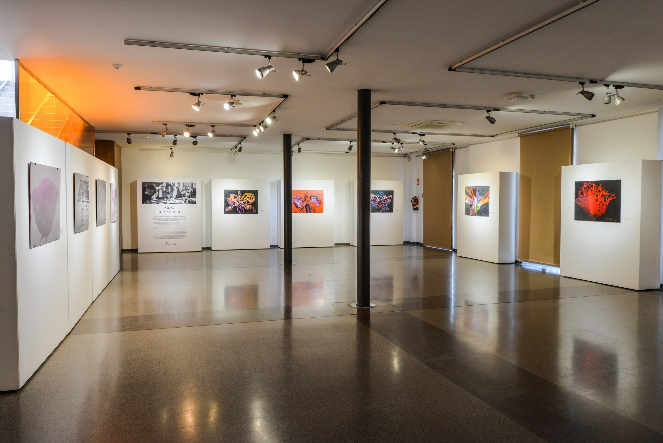 Abstract Art Exhibition. Photographer Aleksandr Rybintsev