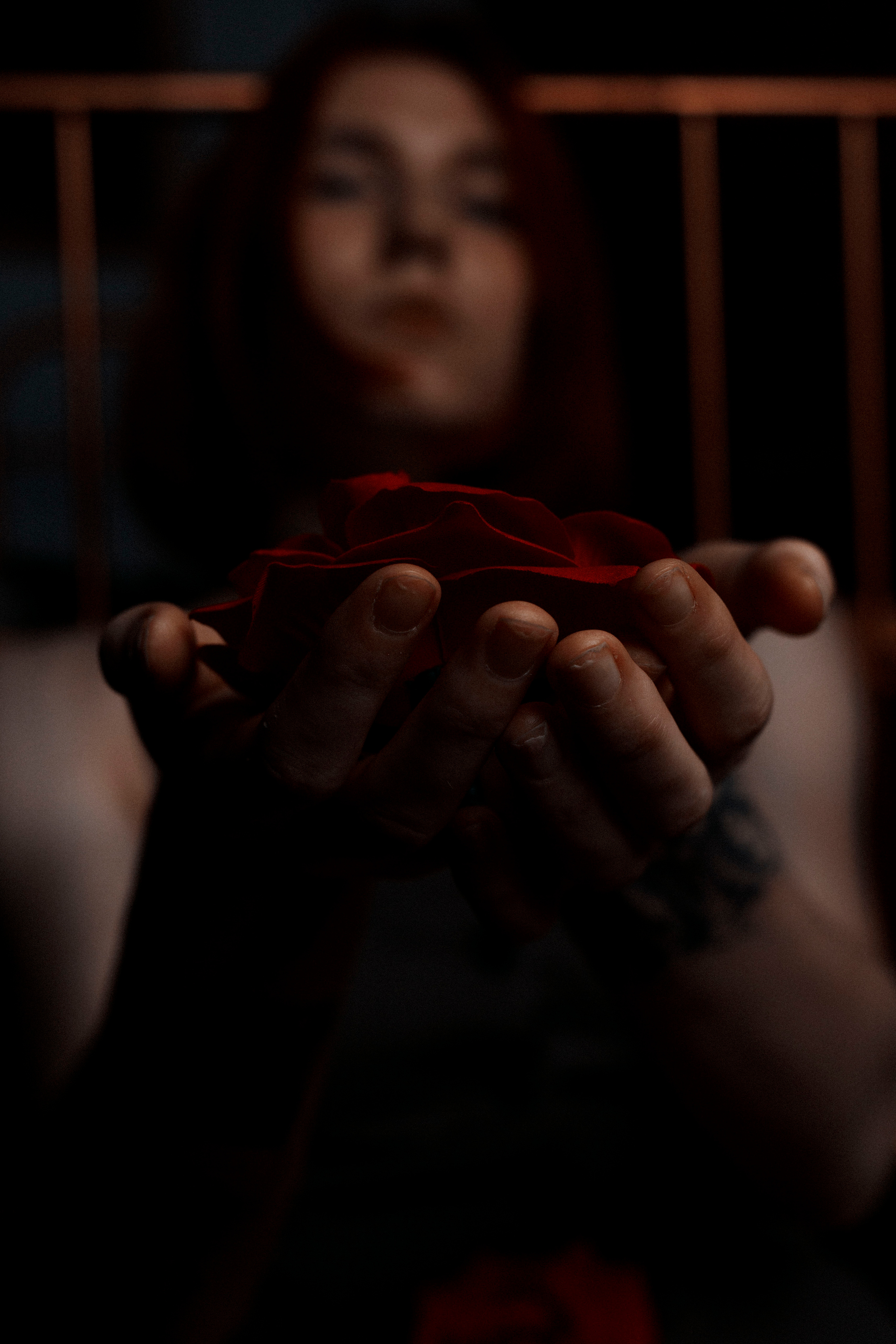 Посмотреть проще, чем объяснить. ALFEROV PHOTOGRAPHER | Портреты, свет и живые моменты