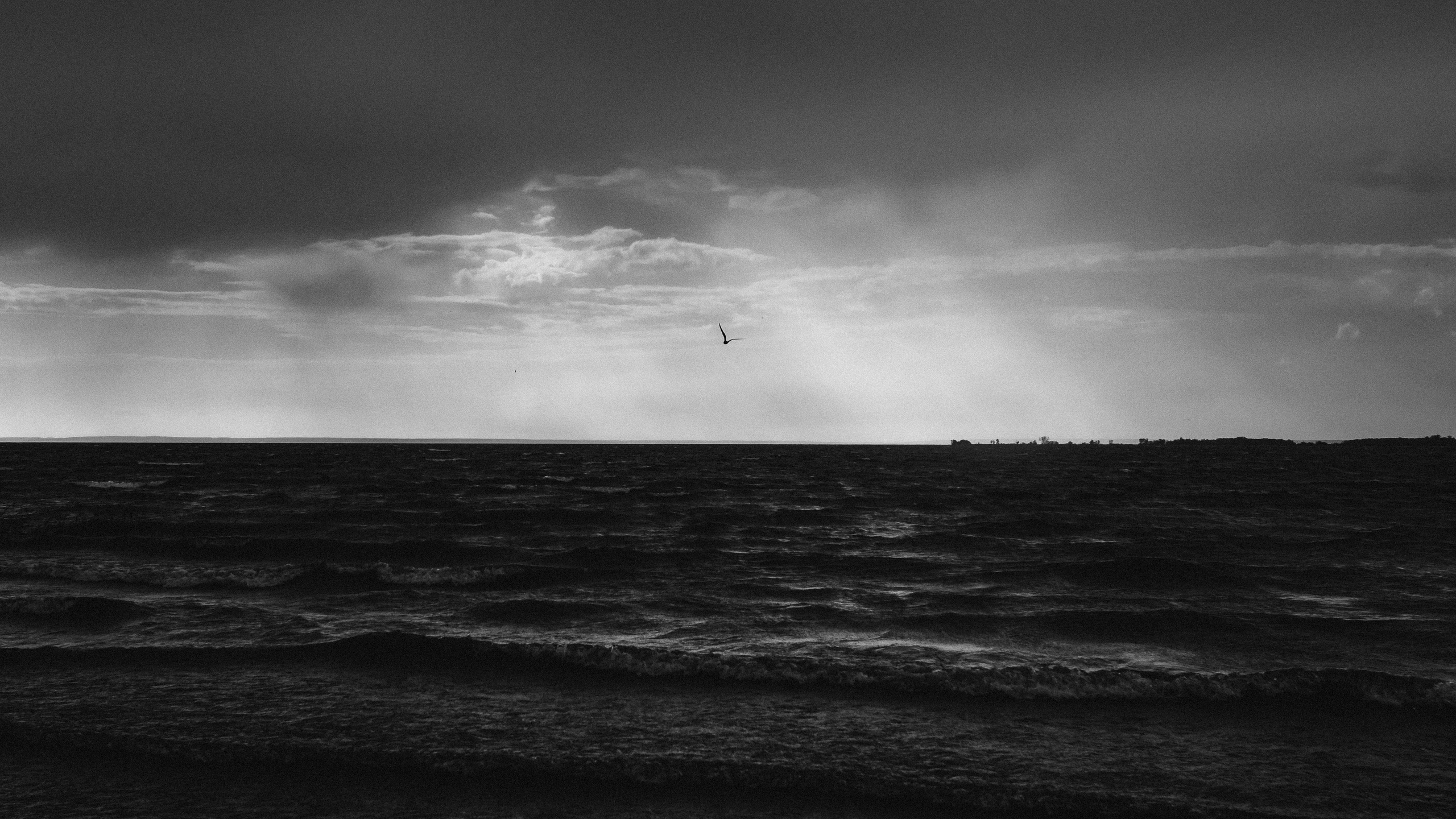 Волга '22. Фёдор Малюгин. Ваш бади в визуале