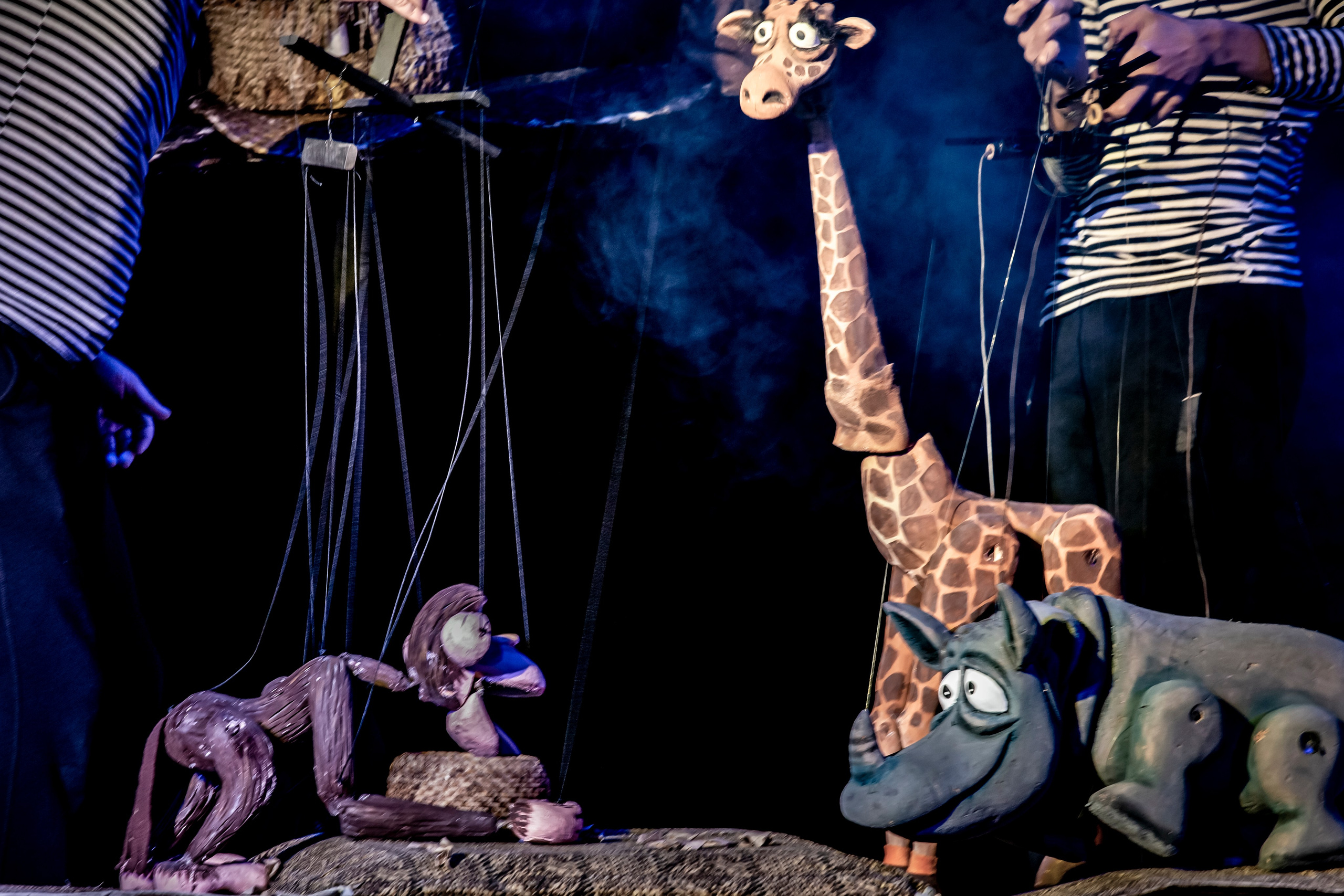 Жирафа и носорог спектакль театра Саквояж. Фотограф в Сочи Юрий Шептаев