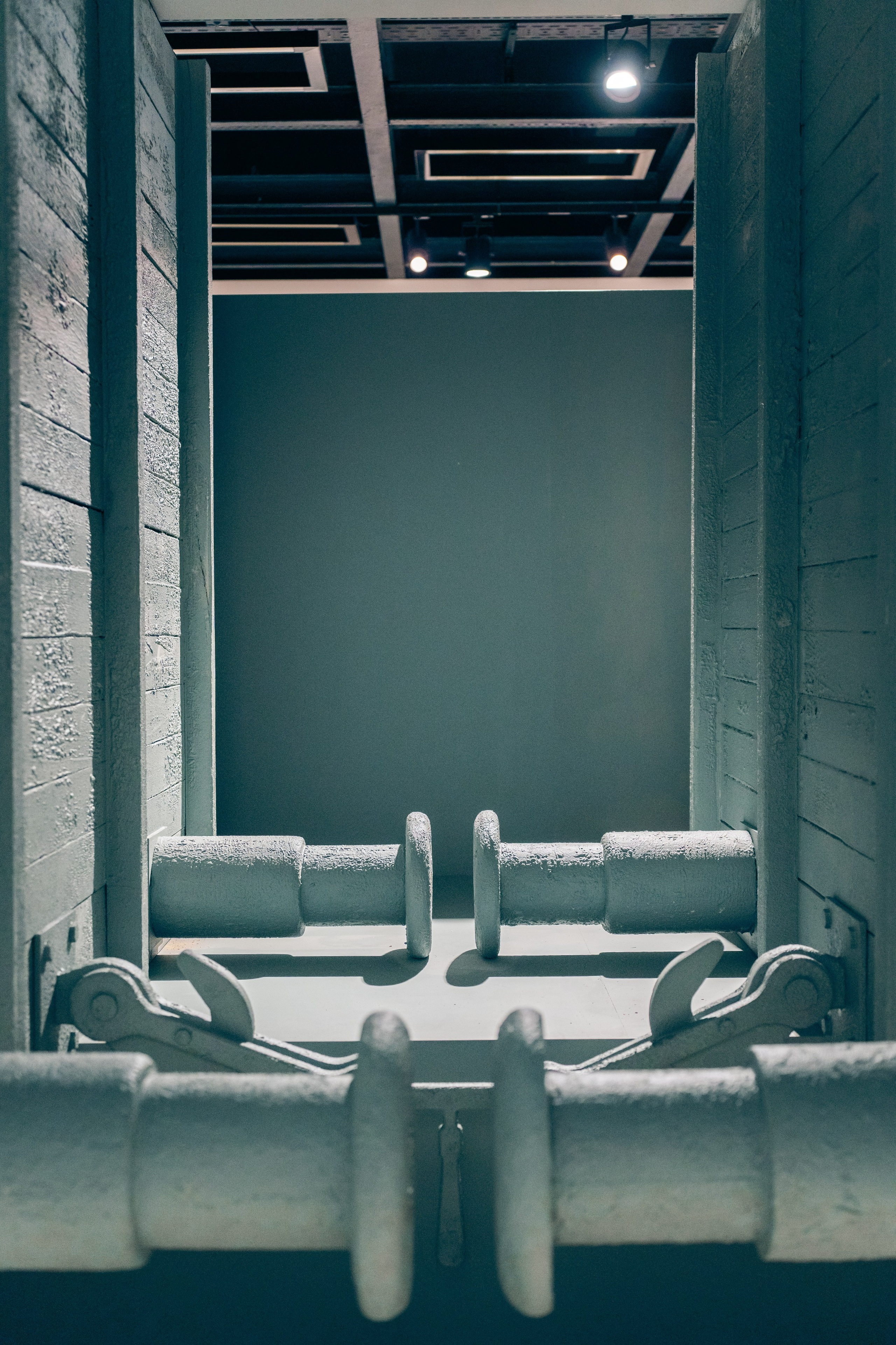 Выставка Великая страна — великая победа. Фотограф в Санкт-Петербурге Ибрагимова Алина