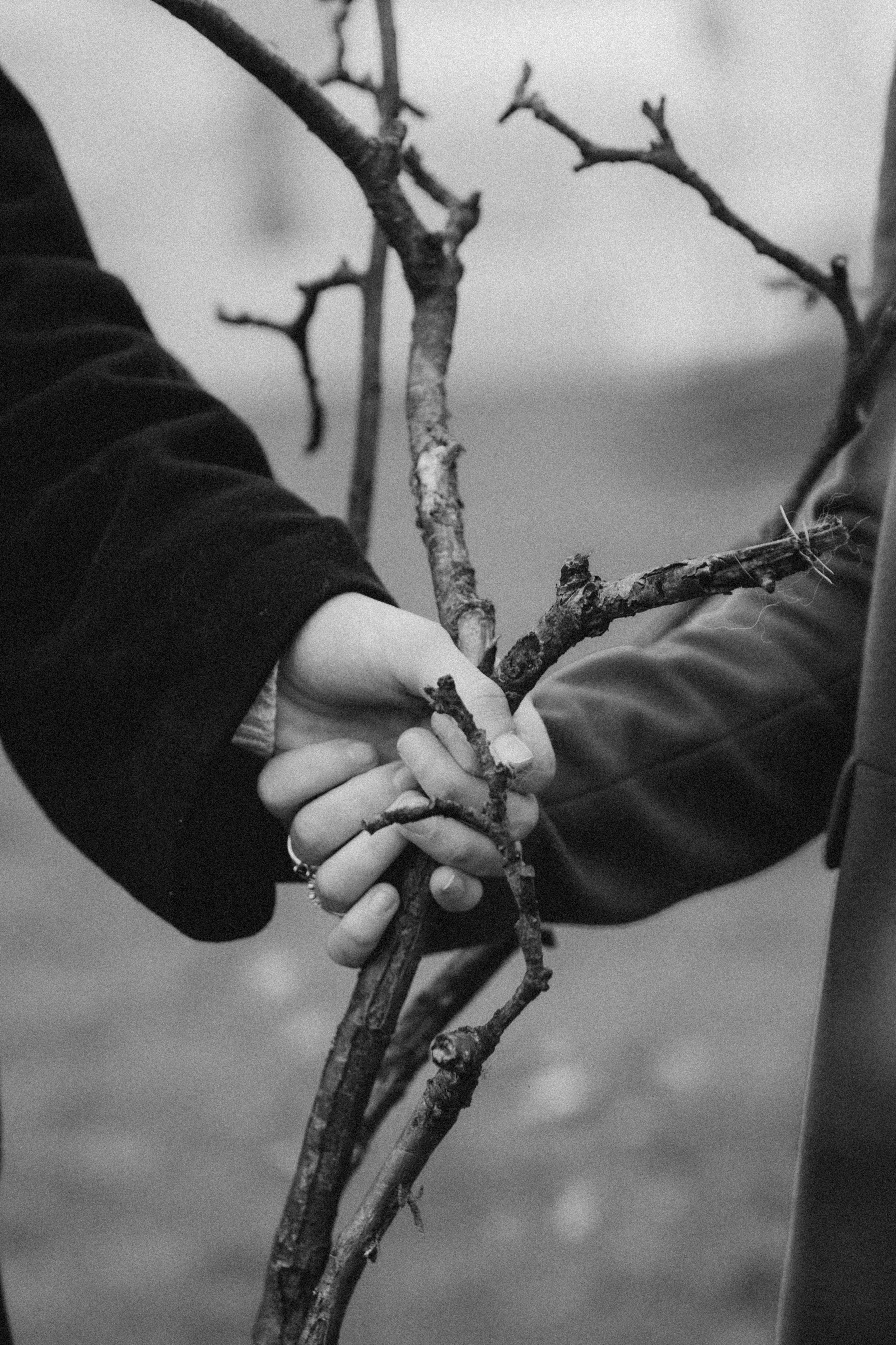 Галки, ветки и любовь. Фотограф Москва Селюкова Юлия