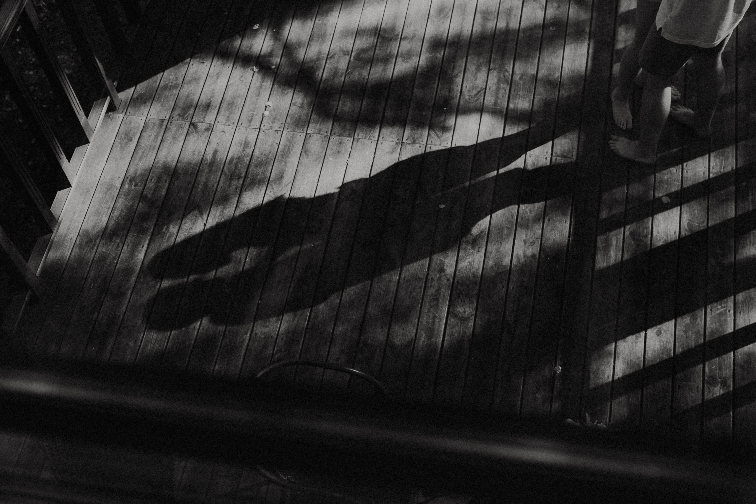 Кристина и Владимир. Фотограф Муратова Алена