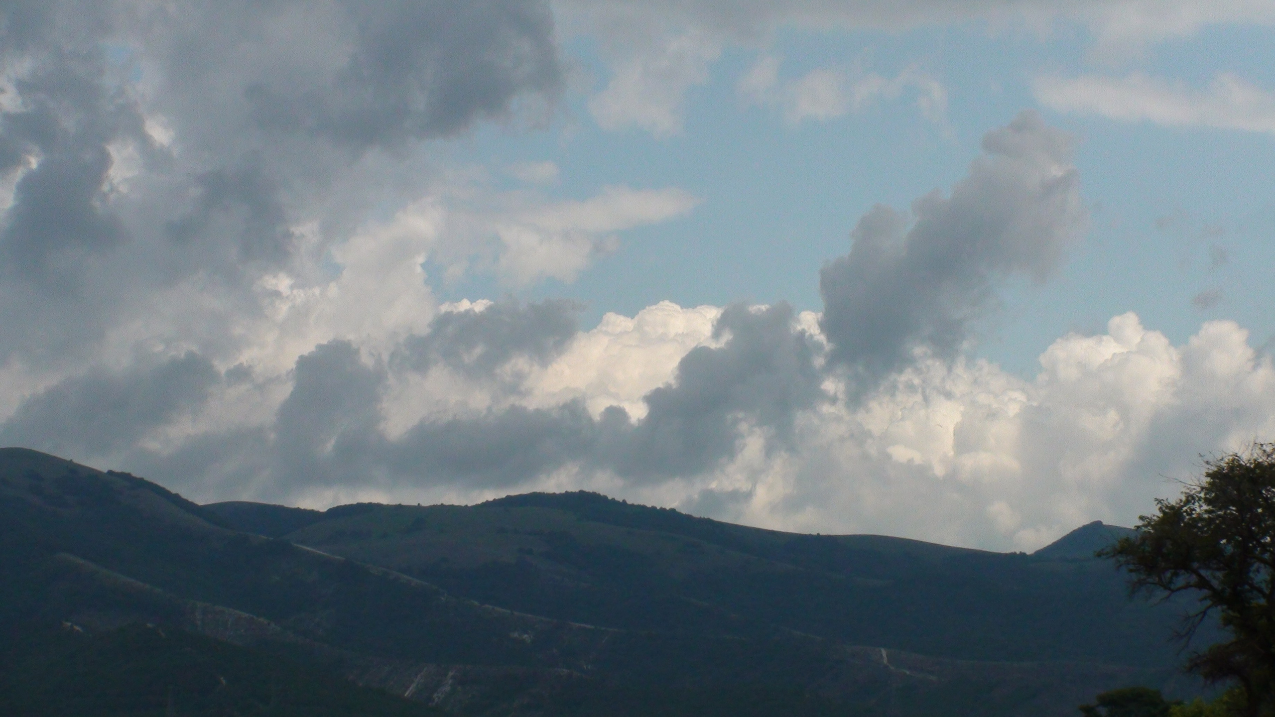 Отпуск 27.05-16.08. Семейный, Свадебный фотограф СПБ Питер— Романова Екатерина