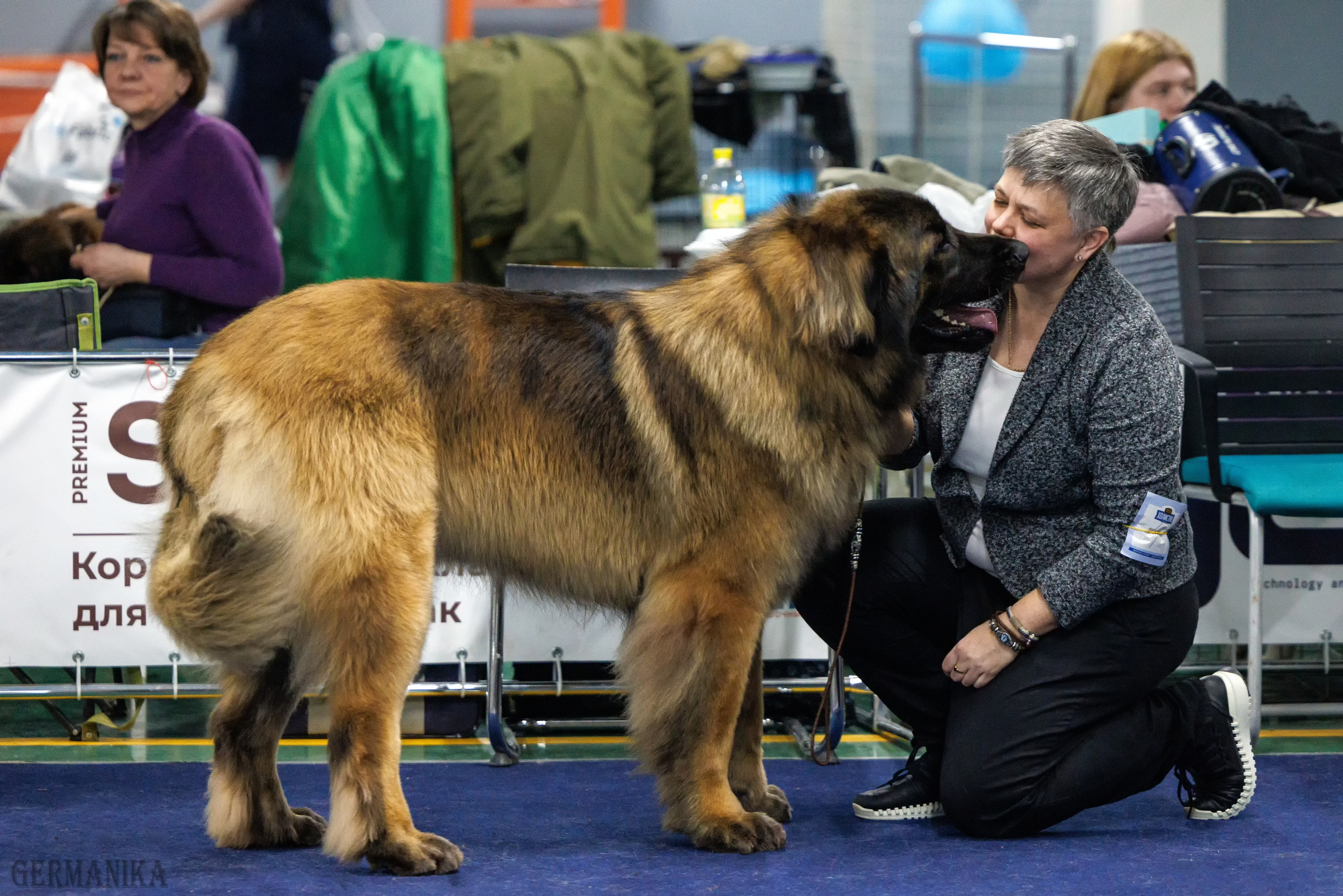 Сфера 28.01. и 4.02.2024. Фотограф-анималист Юлия Германика