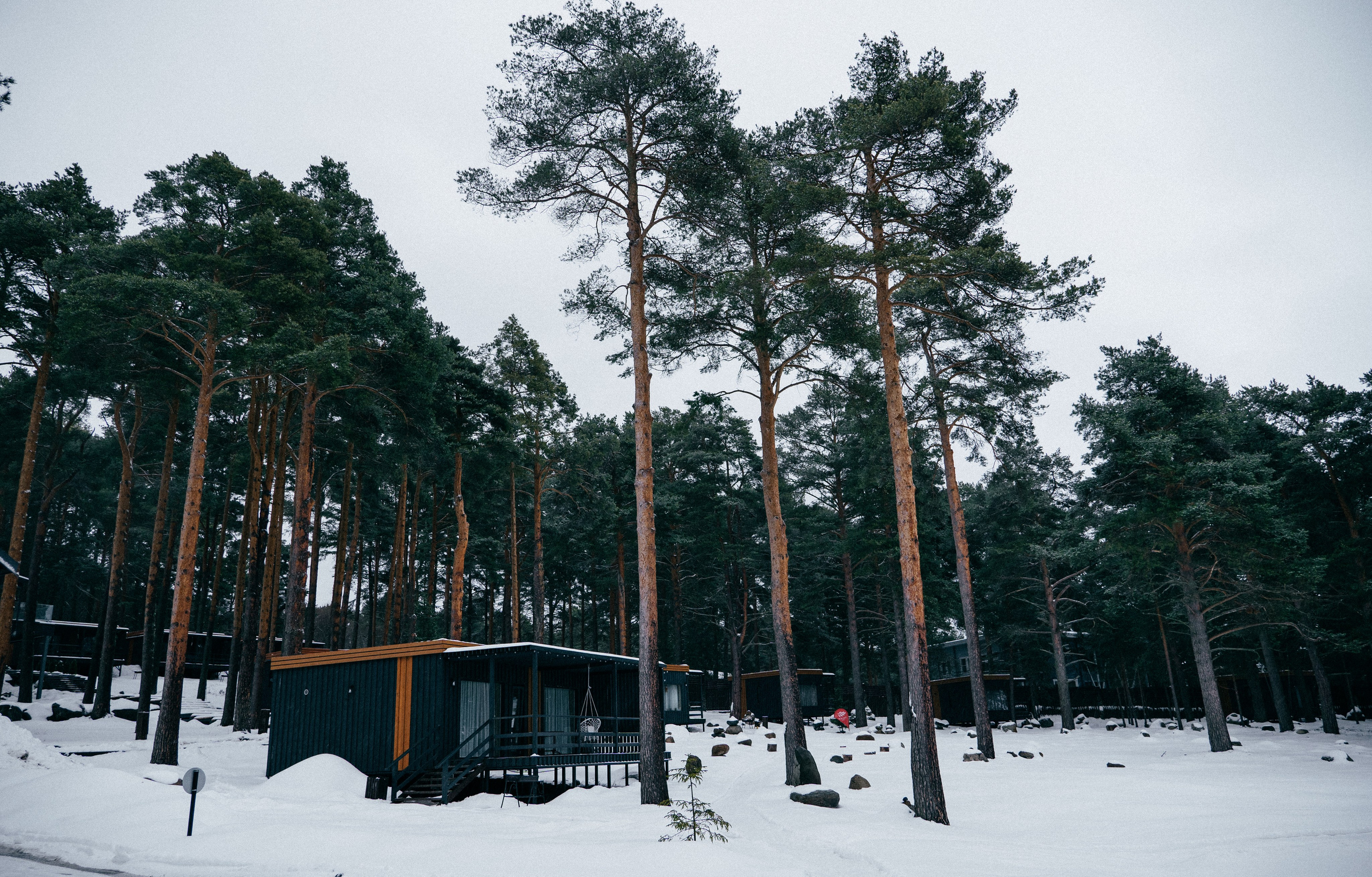 TALEO. Создание контента | Фото | Видеосъемка | Александр Ярков