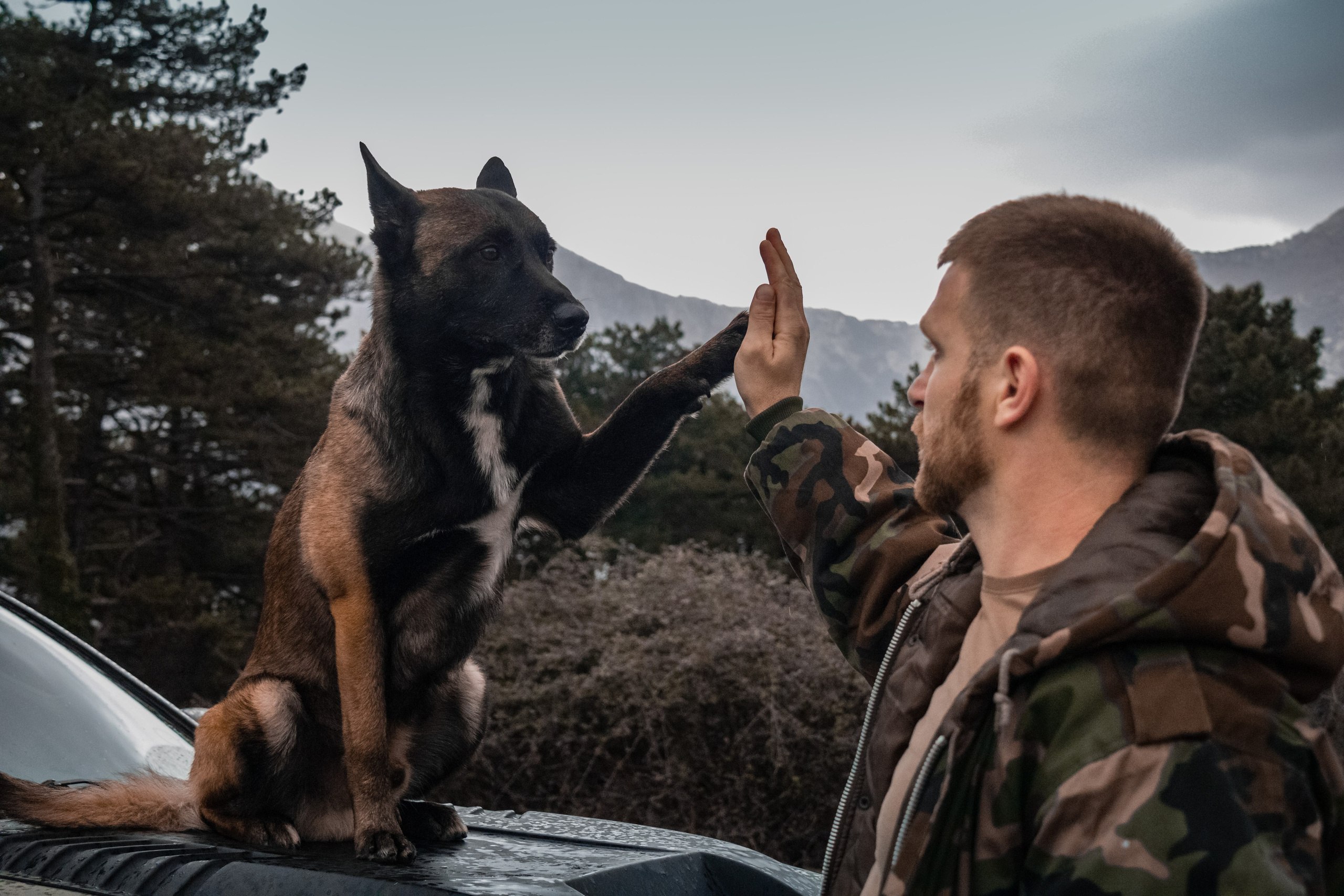 Photoshoot with a dog in Montenegro. Portrait photographer in Tivat Montenegro Katerina Kirsanova