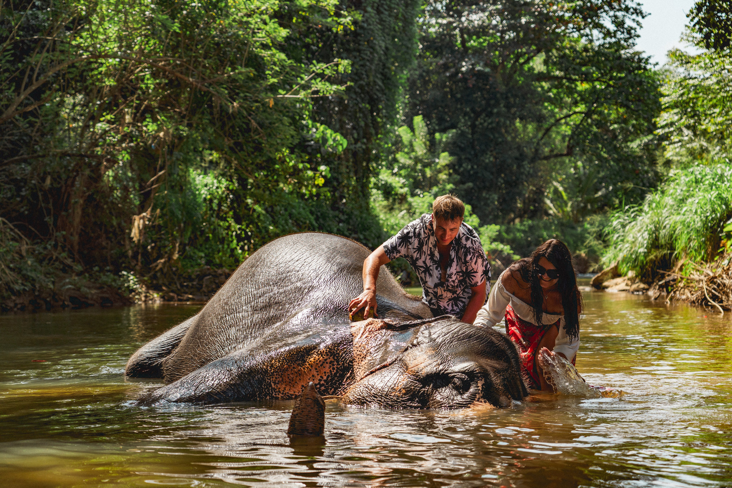 Bathing with elephants in Pinnawala, Botanical Garden