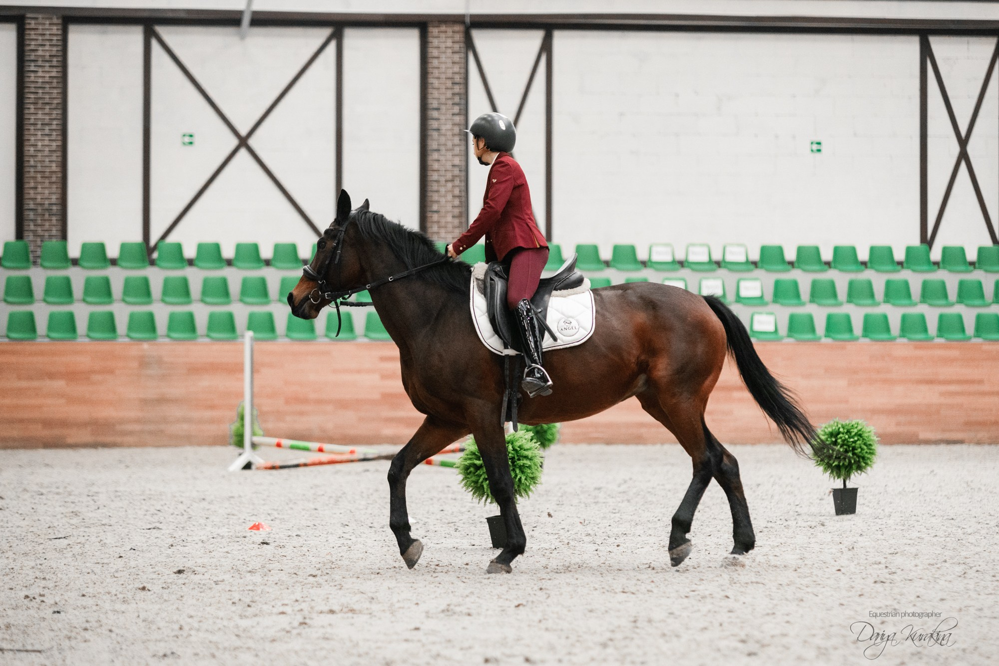 8-я международная выставка Конная Россия. Конный фотограф Куракина Дарья • Фотосессии с лошадьми