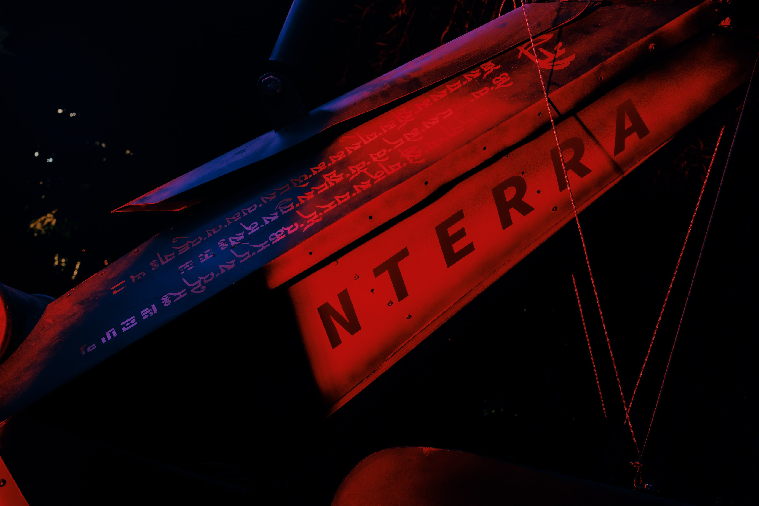 PANTERRA, Cyber Flower. @tomrus: Рустам Шагиморданов — фотограф