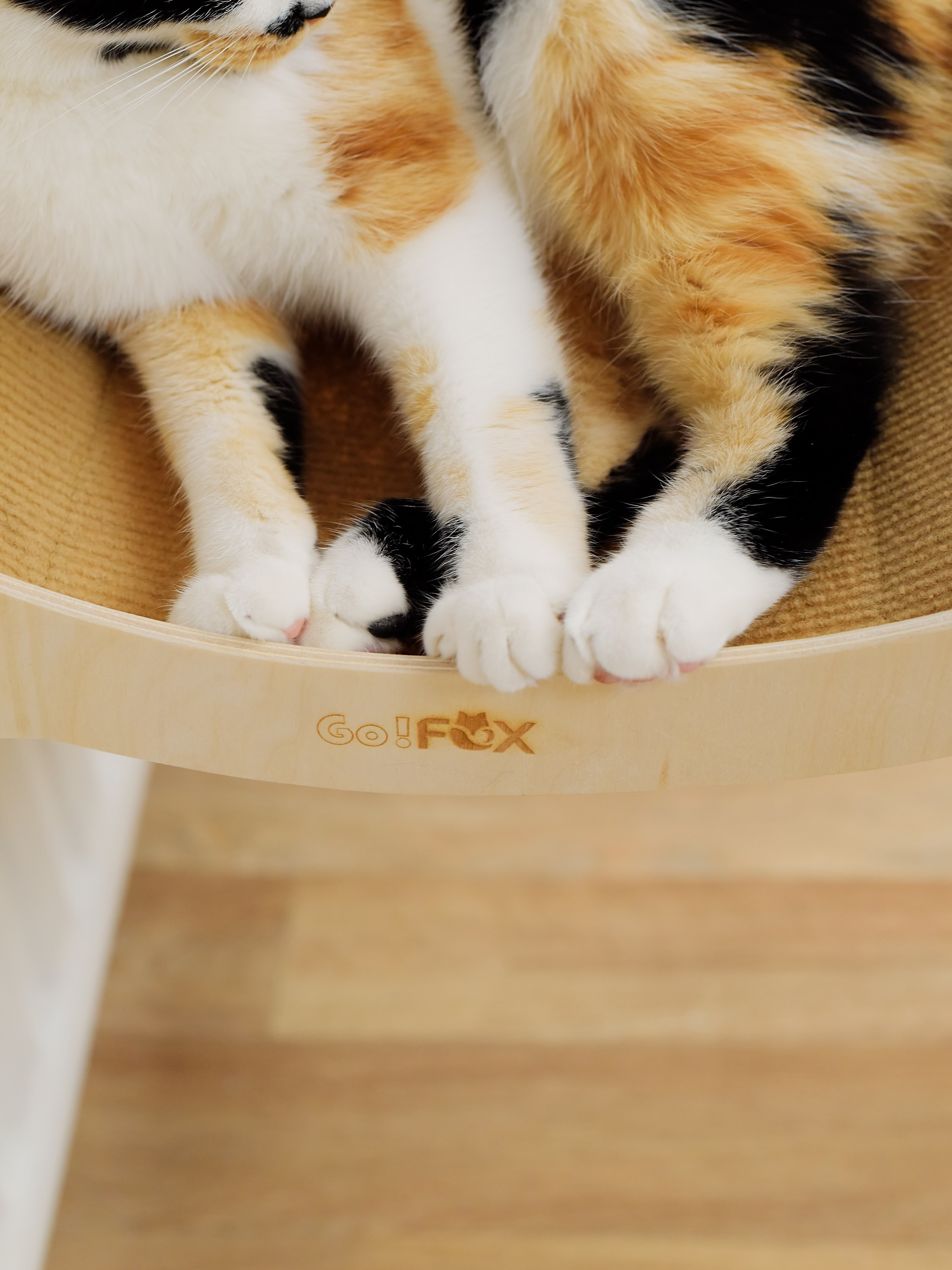 Товары для животных. Предметный фотограф, инфографика и видео в Санкт-Петербурге