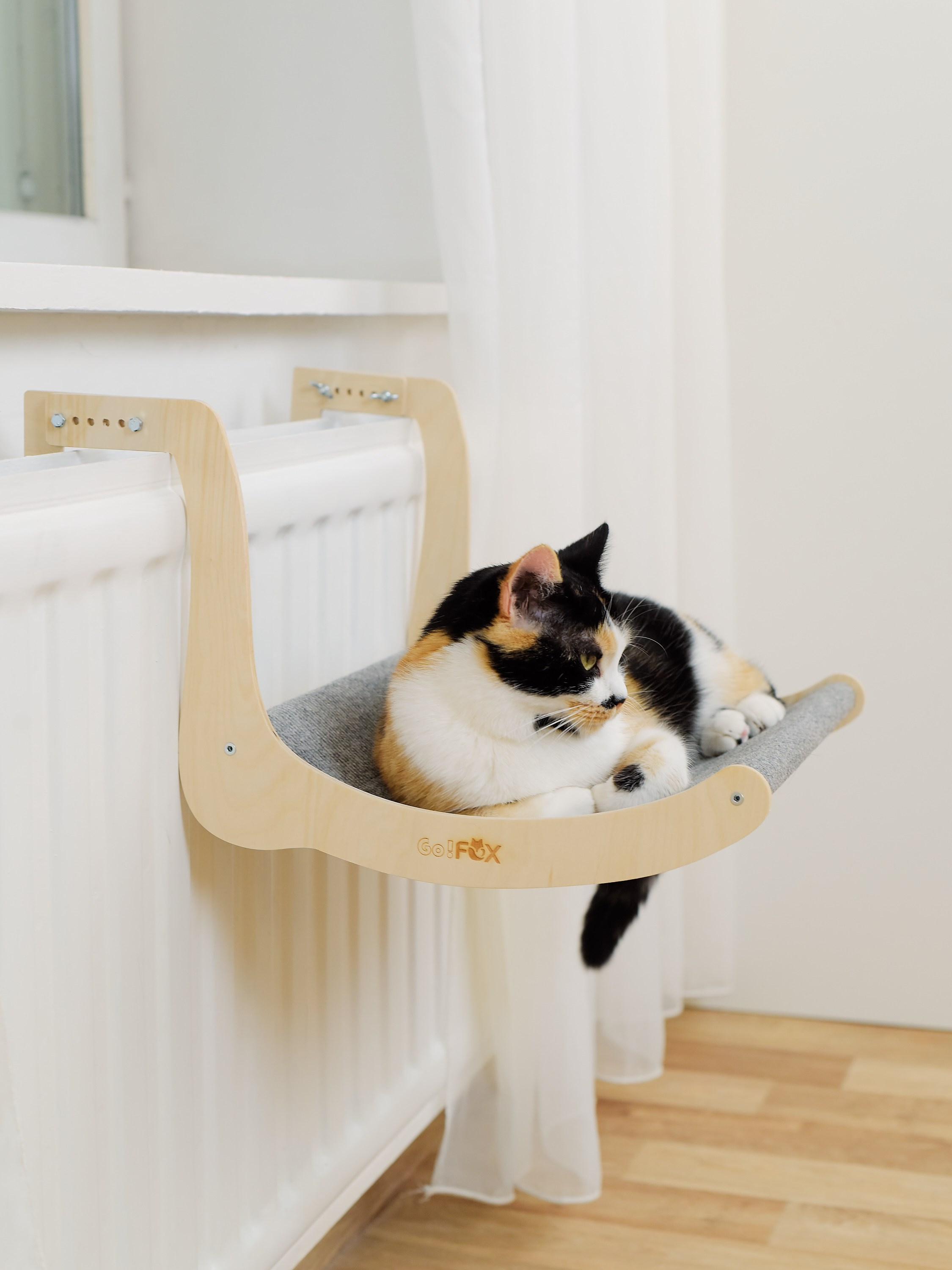 Товары для животных. Предметный фотограф, инфографика и видео в Санкт-Петербурге