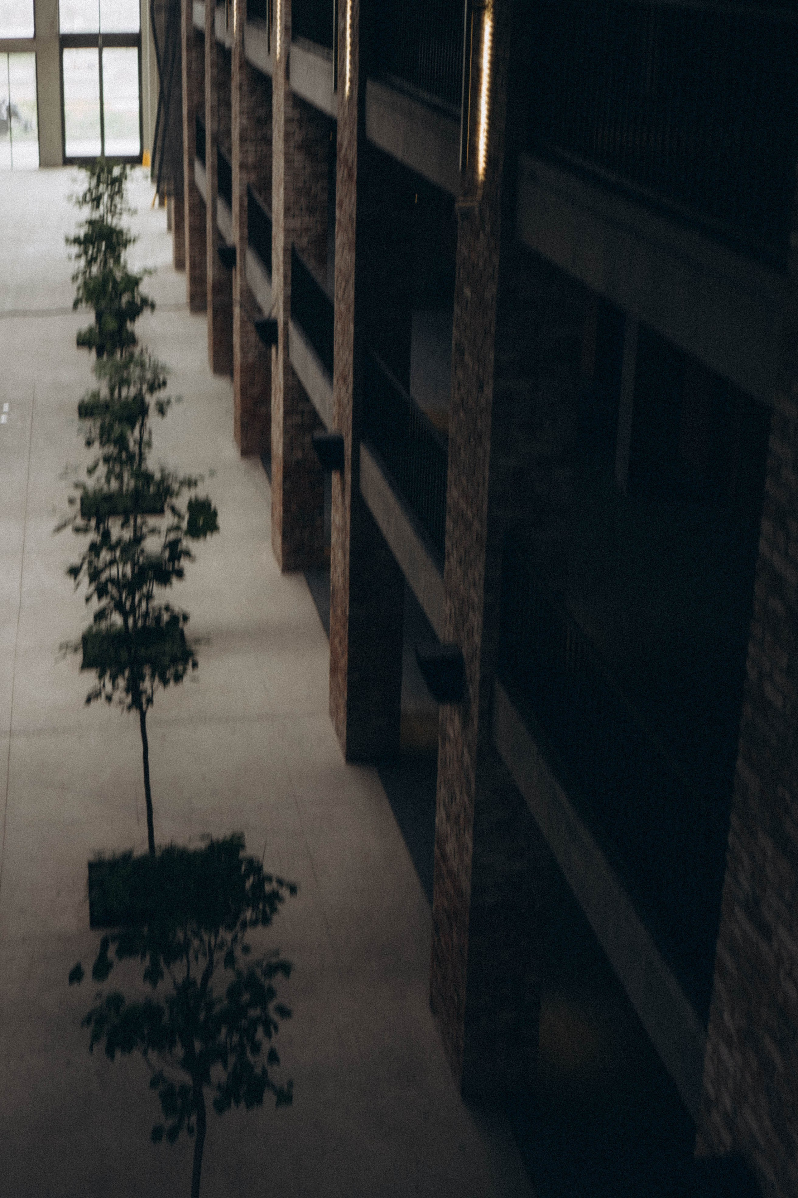 Кавказ. Профессиональный фотограф, Санкт-Петербург — Виктория Богомолова