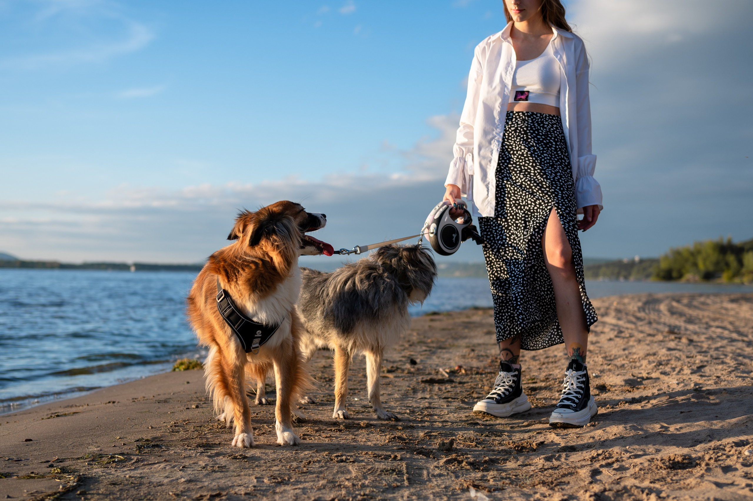 Лиза, Клопа и Хрюша. Главная