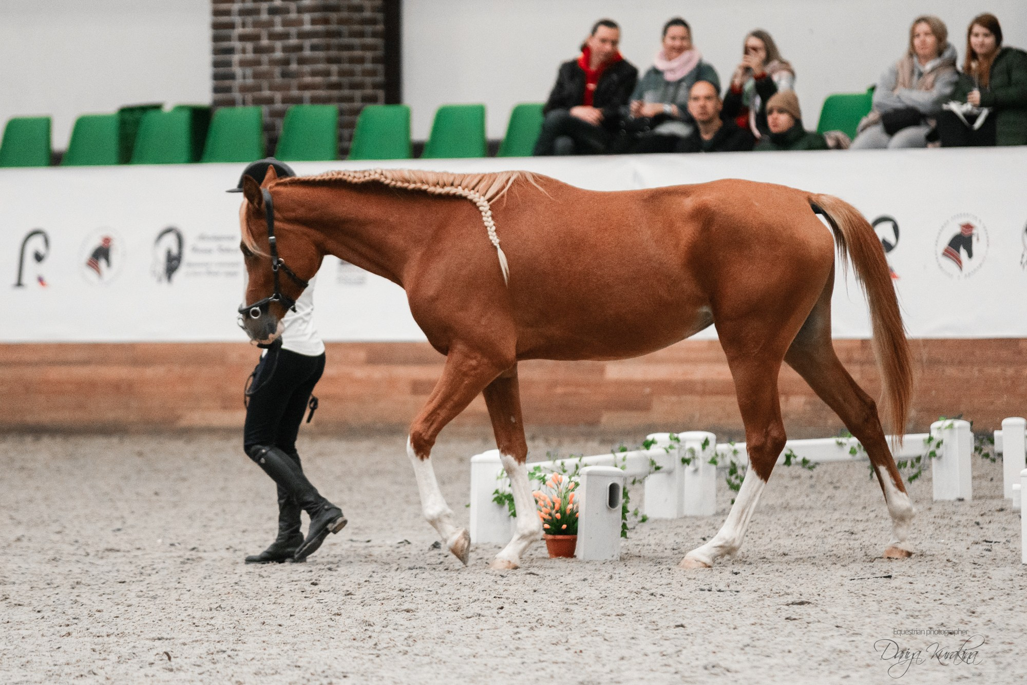 8-я международная выставка Конная Россия. Конный фотограф Куракина Дарья • Фотосессии с лошадьми