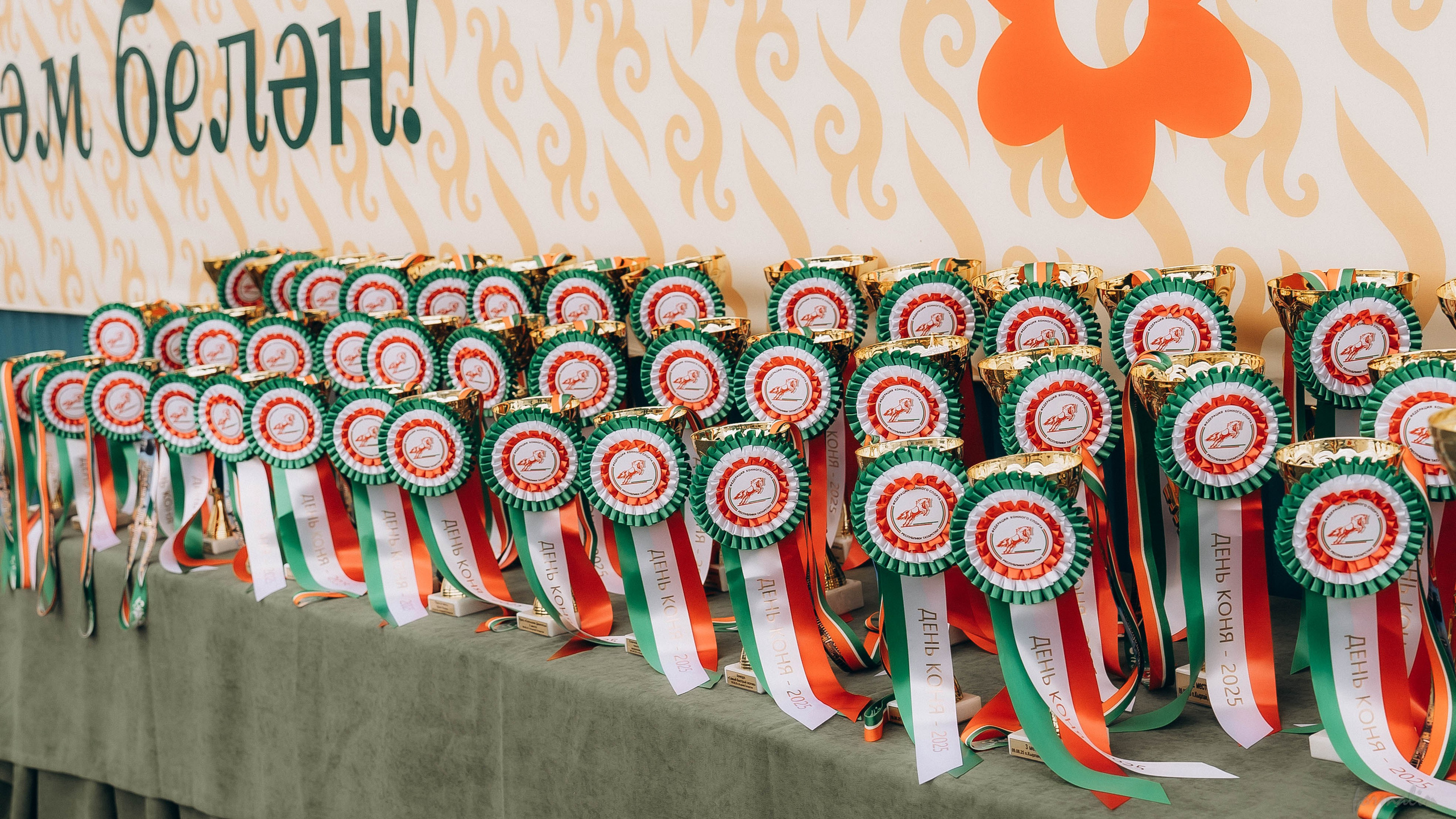 День Коня. Алиса Никитцова | Фотограф в Казани