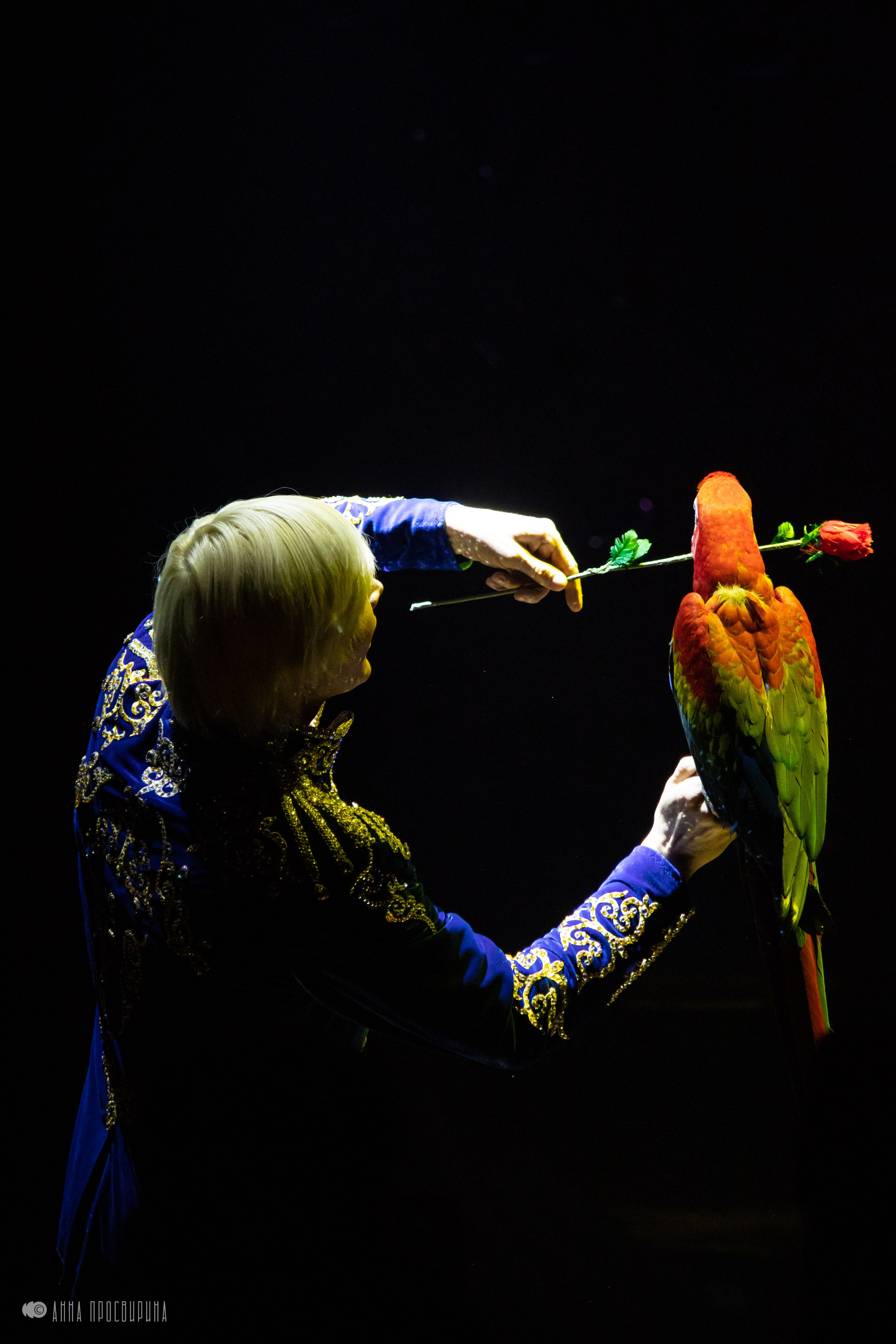 Шоу «Принц Цирка». Ваш фотограф в Санкт-Петербурге Анна Просвирина